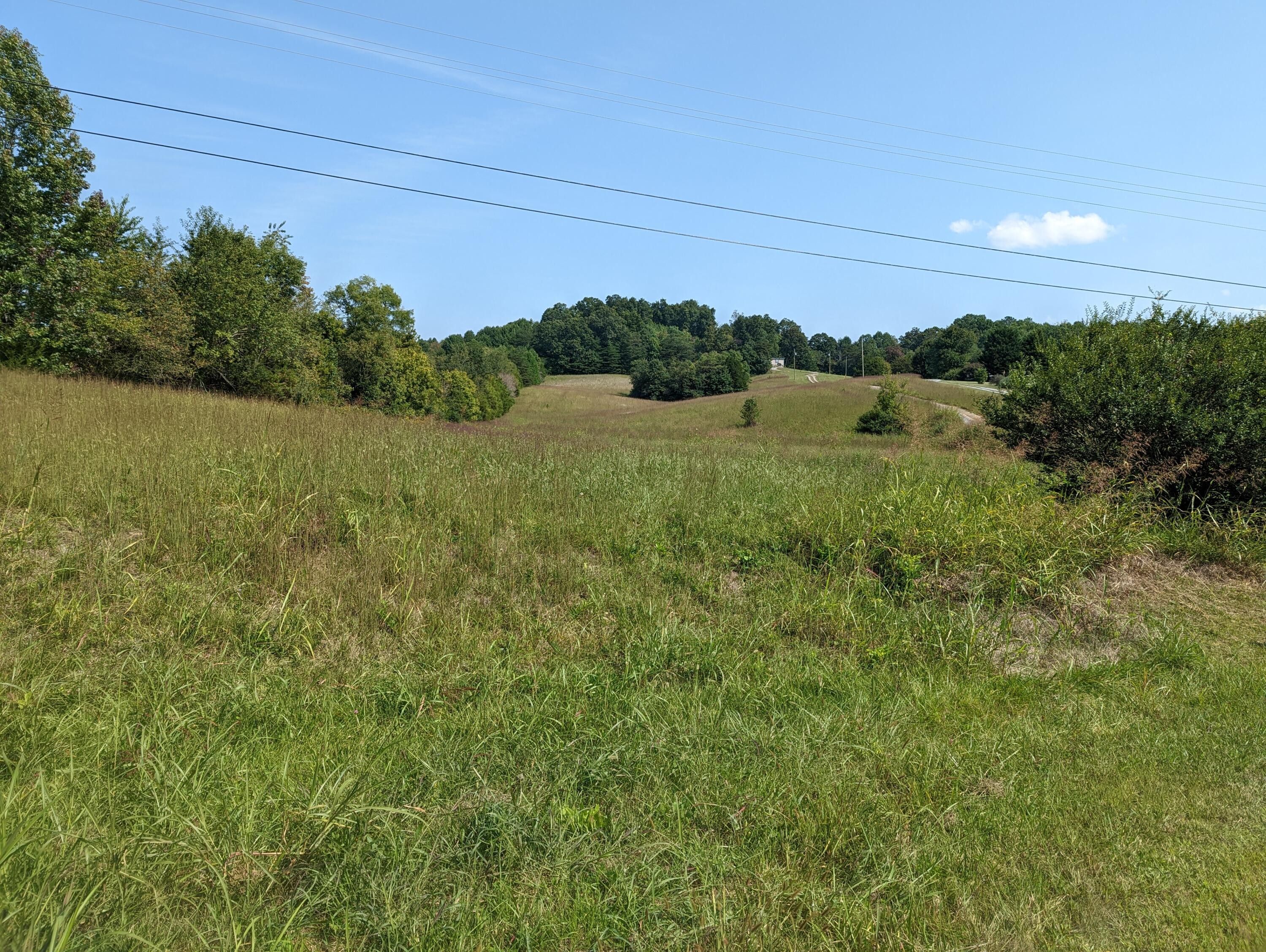 8.16 Acres, 95 South Chuckey Ruritan Road, Chuckey, TN 37641 Land and