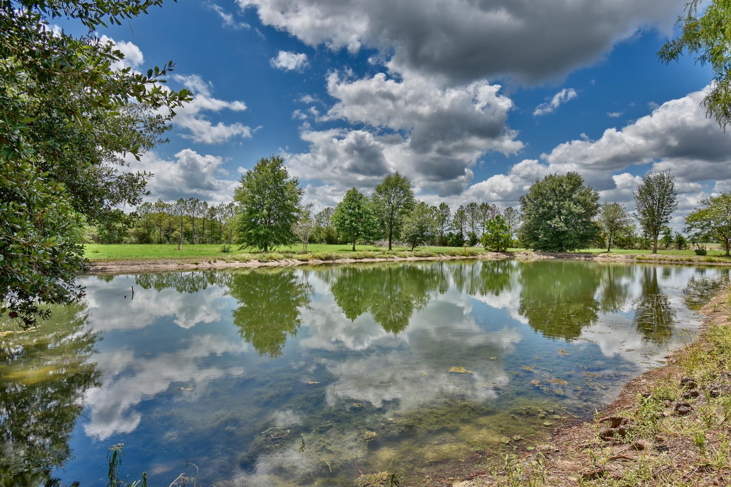 24.58 Acres, 38795 Sadler Road, Pattison, TX 77423 Land and Farm