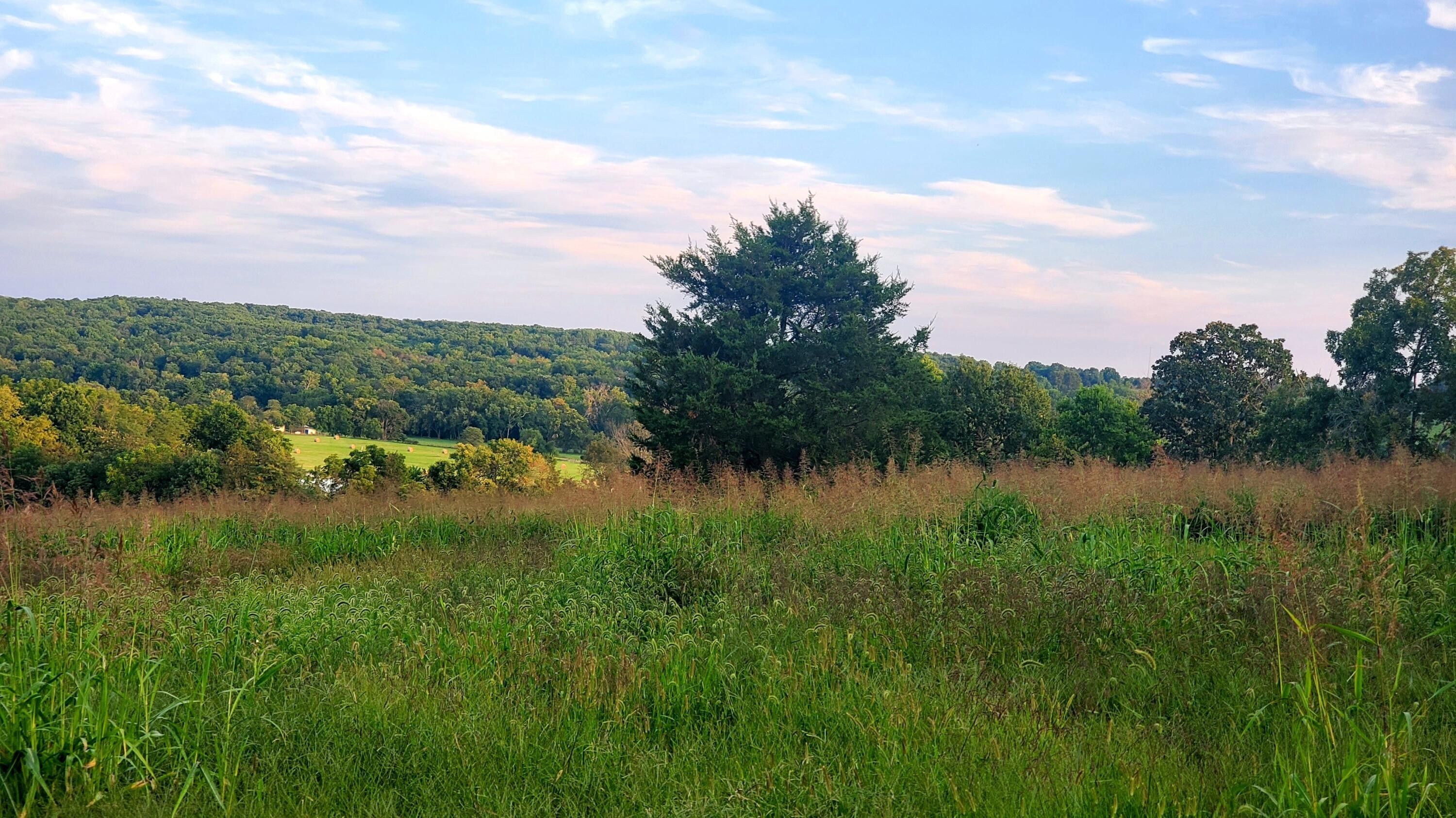 5 Acres, Tract 1 North Old Mill Road, Brookline, MO 65619 Land and Farm