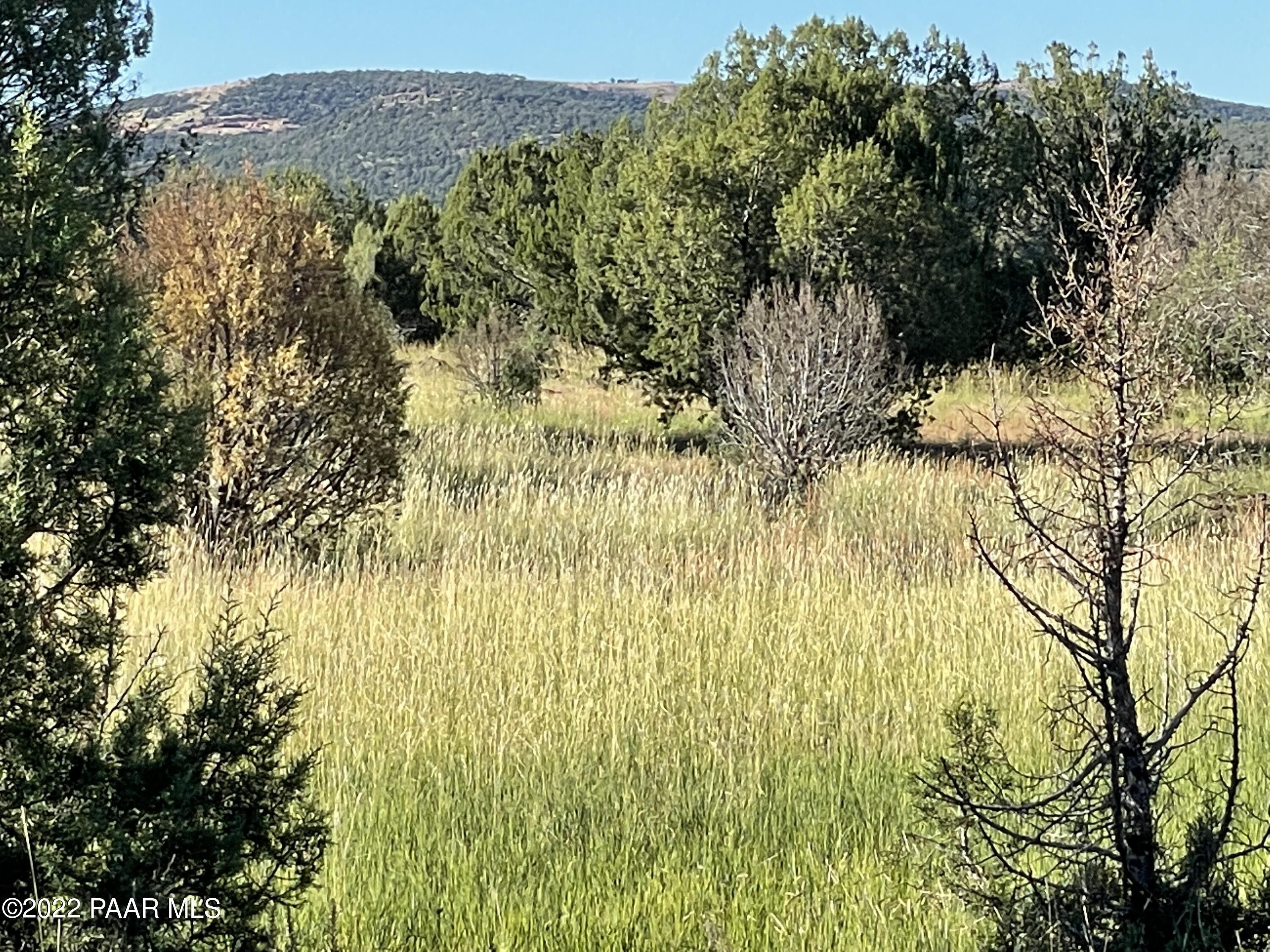 10.17 Acres, Lot 51d Juniperwood Ranch, Ash Fork, AZ 86046 Land and Farm