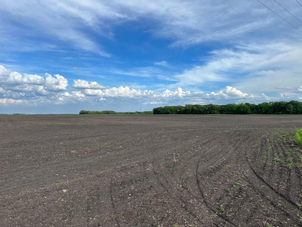 128 acres in Wylie, MN, Land and Farm