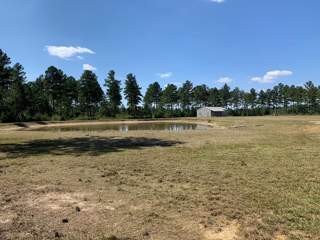 21.87 Acres, 5277 Crosby Chapel Church Rd, Baxley, GA 31513 Land and Farm