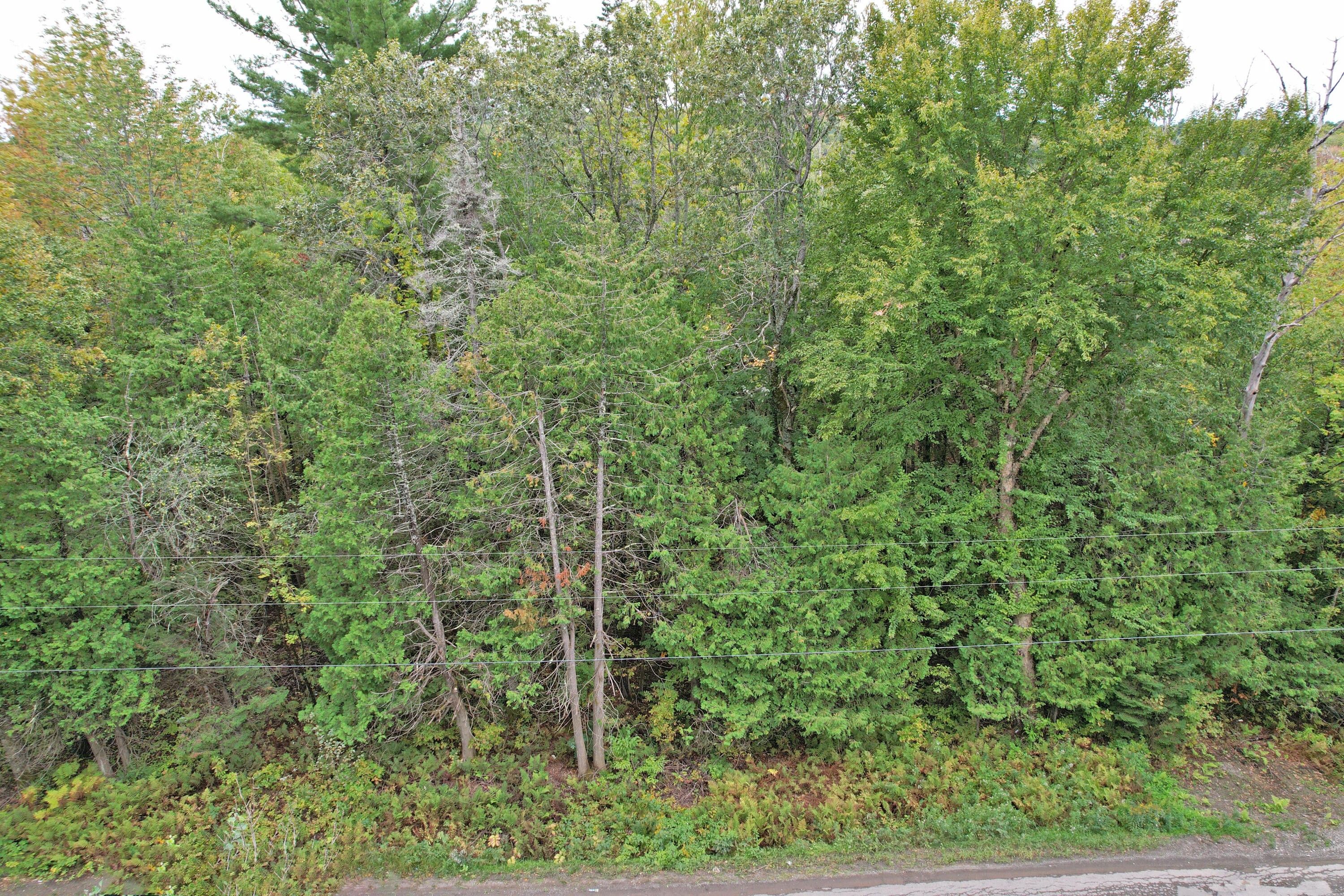 5.51 Acres, 63 West Garland Road, Exeter, ME 04435 Land and Farm