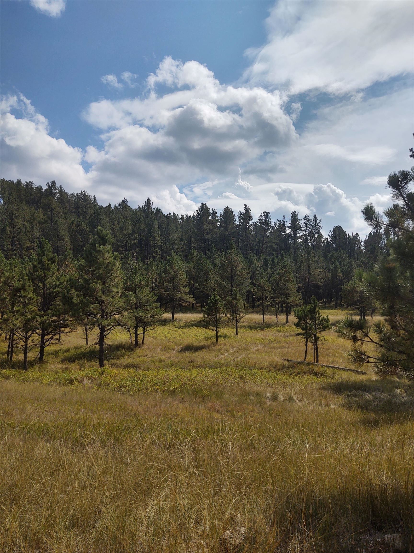 17.22 Acres, Tracts 9/10 Hell Canyon Road, Custer, SD 57730 Land and Farm