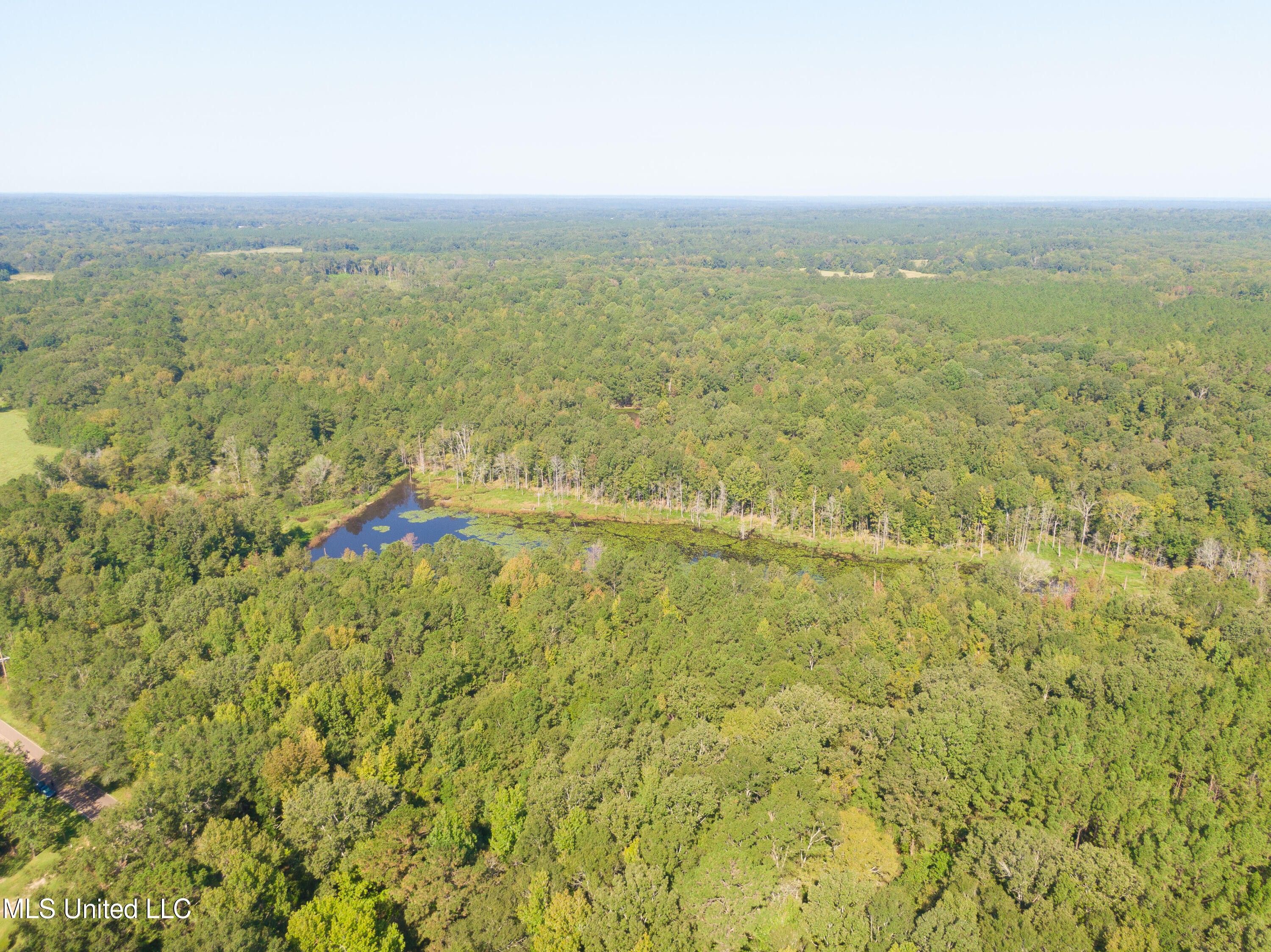 100 Acres, 0 Ernie Martin Road, Utica, MS 39175 Land and Farm