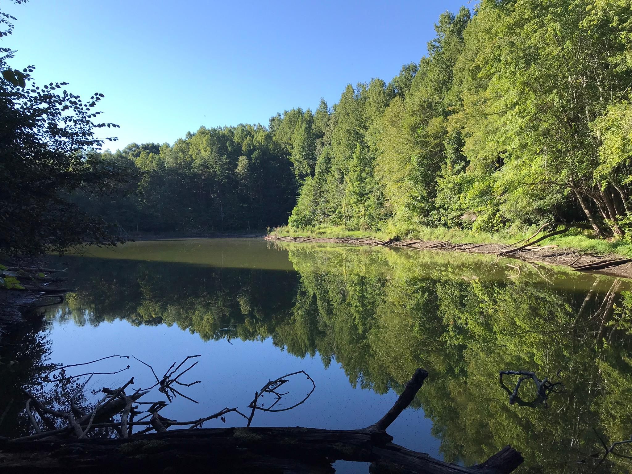 Riceville Road, Java, VA 24565 Land and Farm