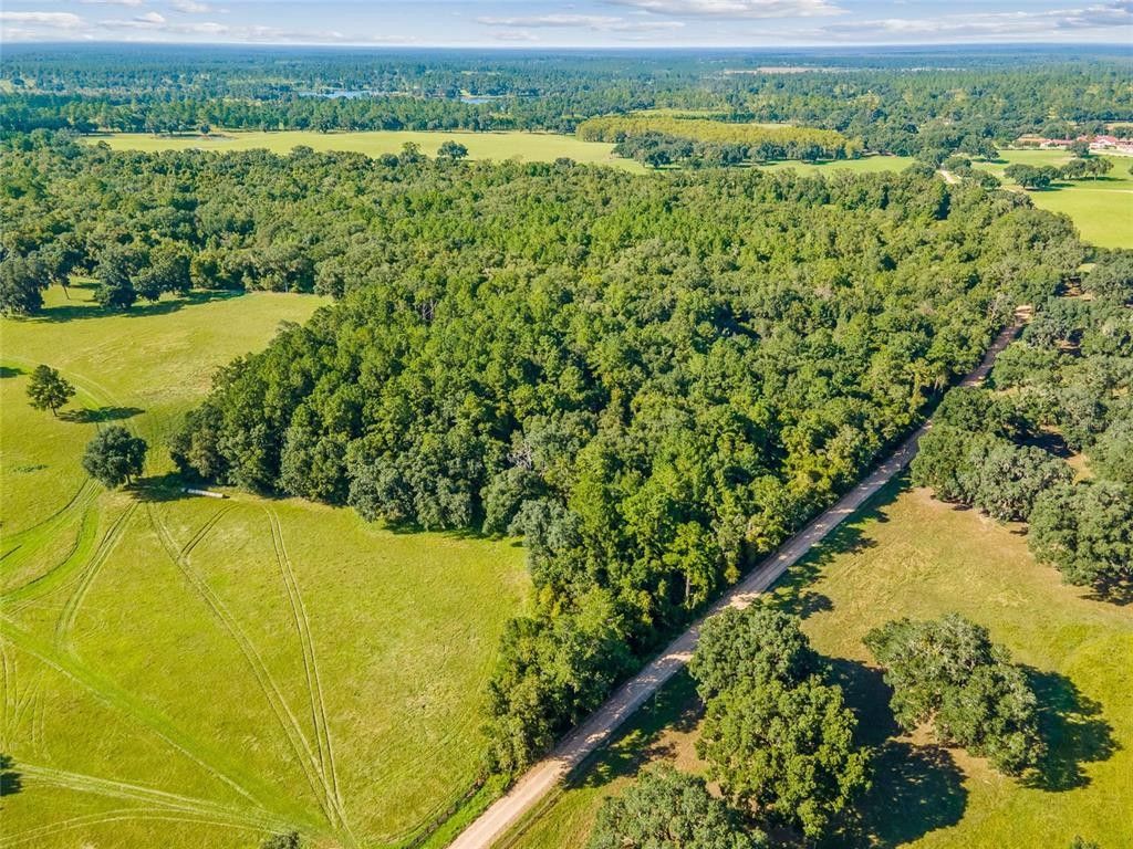 30 Acres, JOINER ROAD, Monticello, FL 32344 Land and Farm