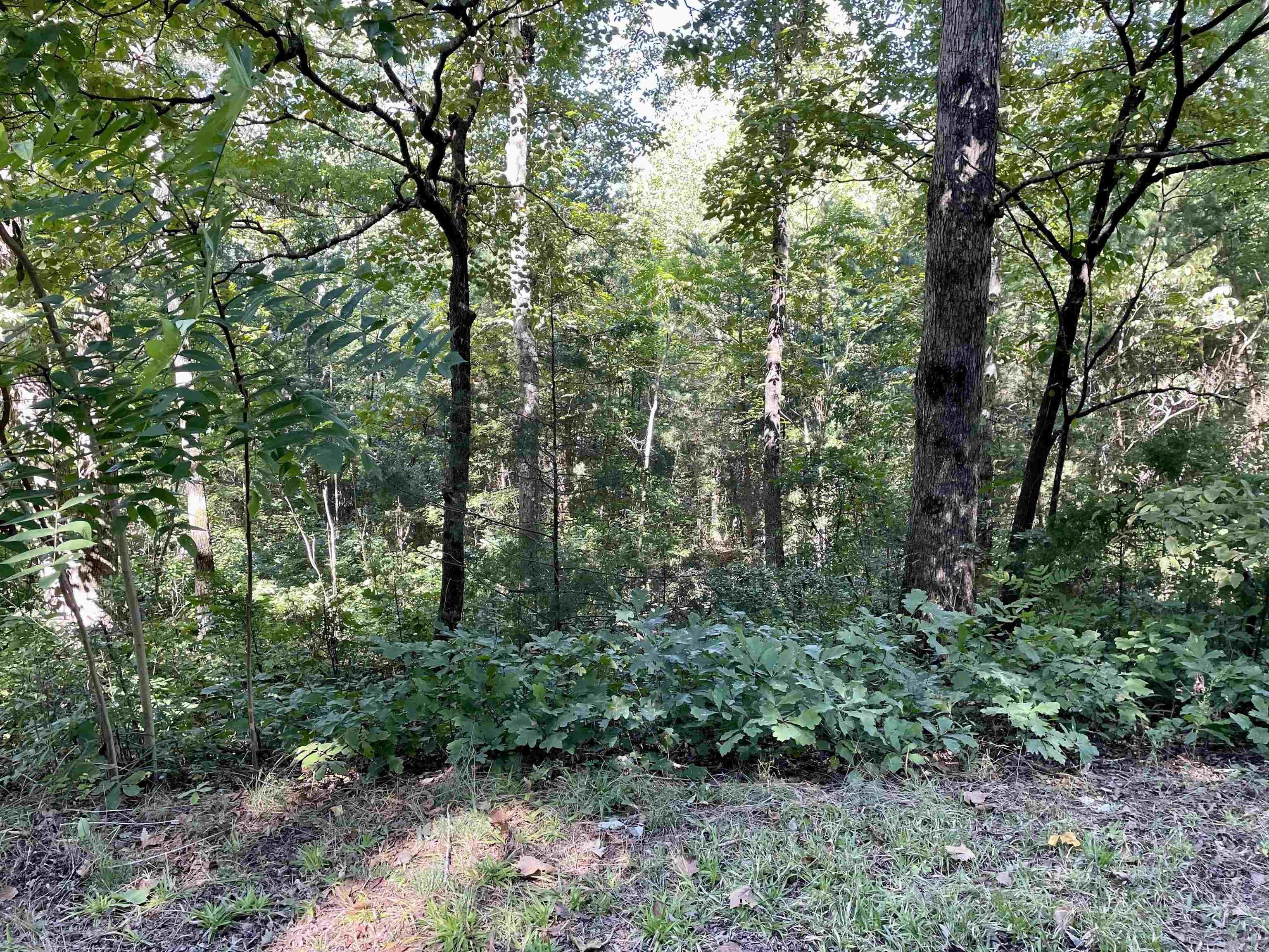3.35 Acres, 163 Silvery Lane, Pickens, SC 296578802 Land and Farm