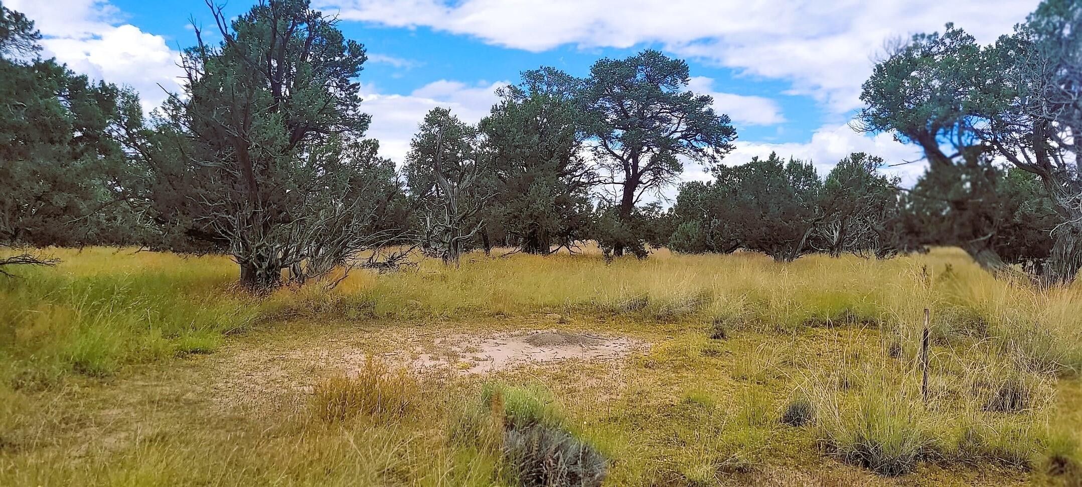 16.71 Acres, Tomahawk, Quemado, NM 87829 Land and Farm