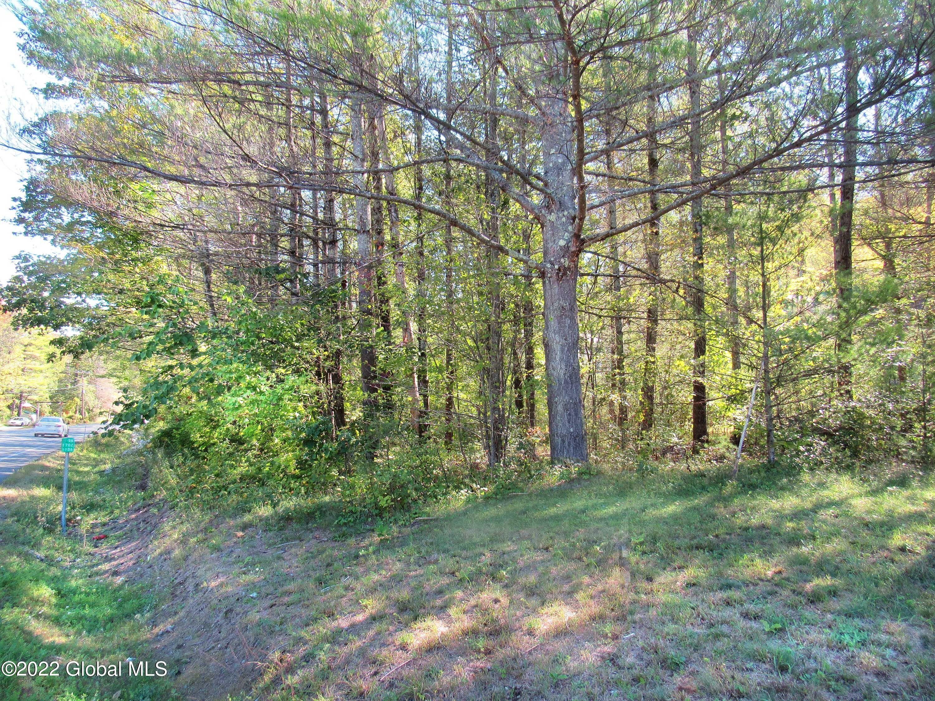 0.47 Acres, 8 Whisper Lane, Lake NY 12845 Land and Farm