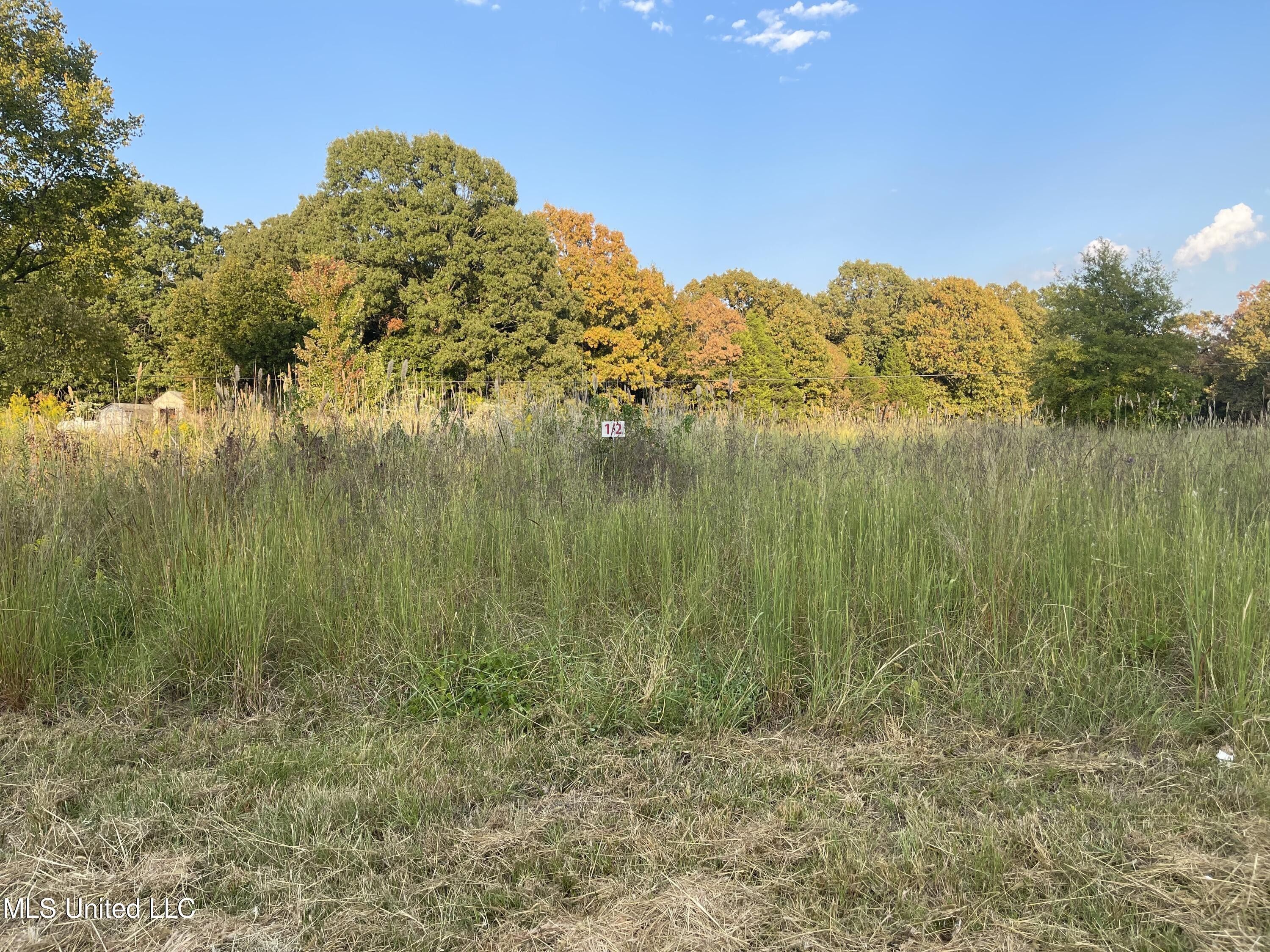 13.07 Acres, 1 Mays Road, Coldwater, MS 38618 Land and Farm