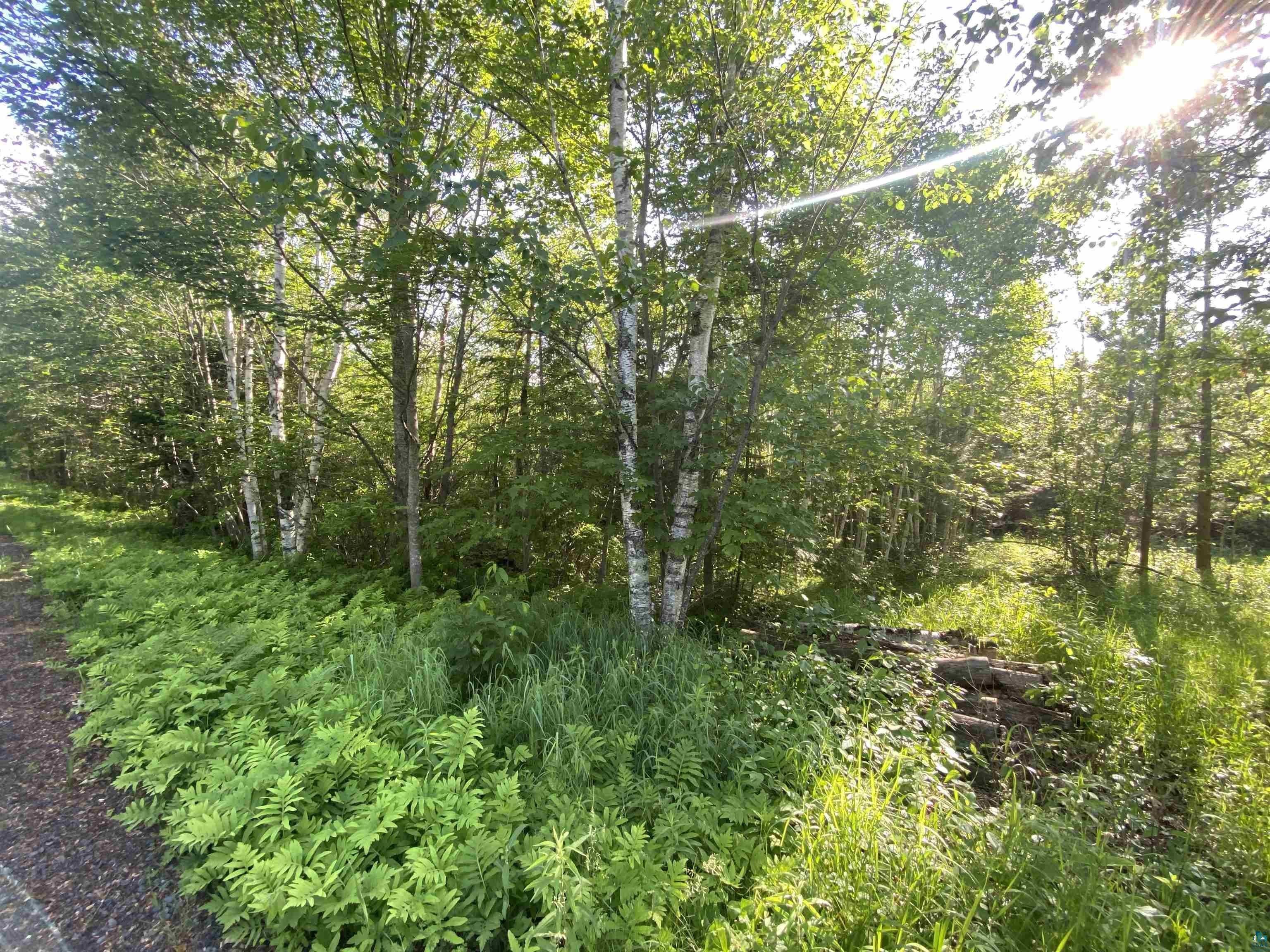 30 Acres, 7581 S Marsik Rd, Lake Nebagamon, WI 54849 Land and Farm