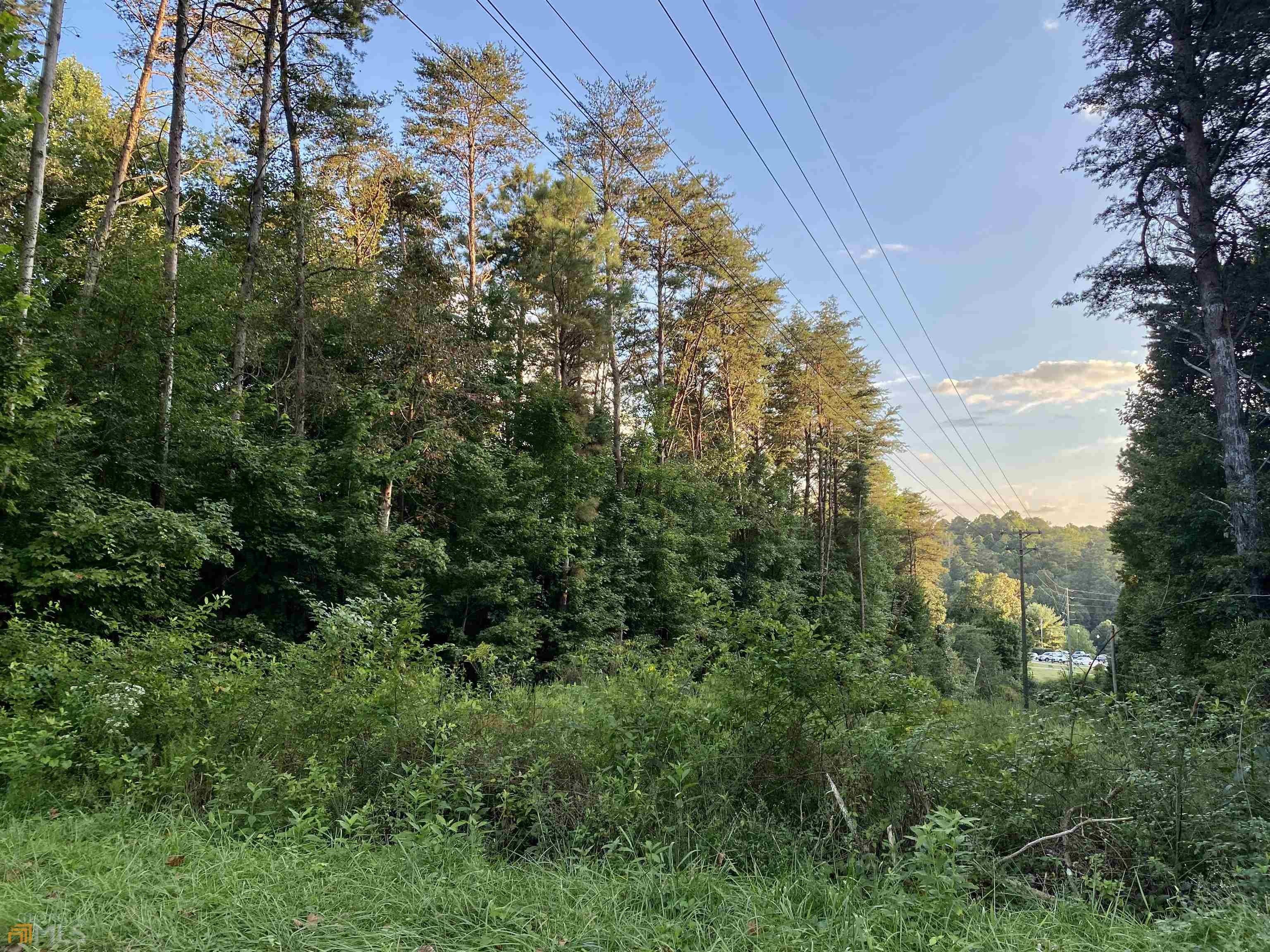 4.38 Acres, 0 Cox Creek Road, Ellijay, GA 30540 Land and Farm