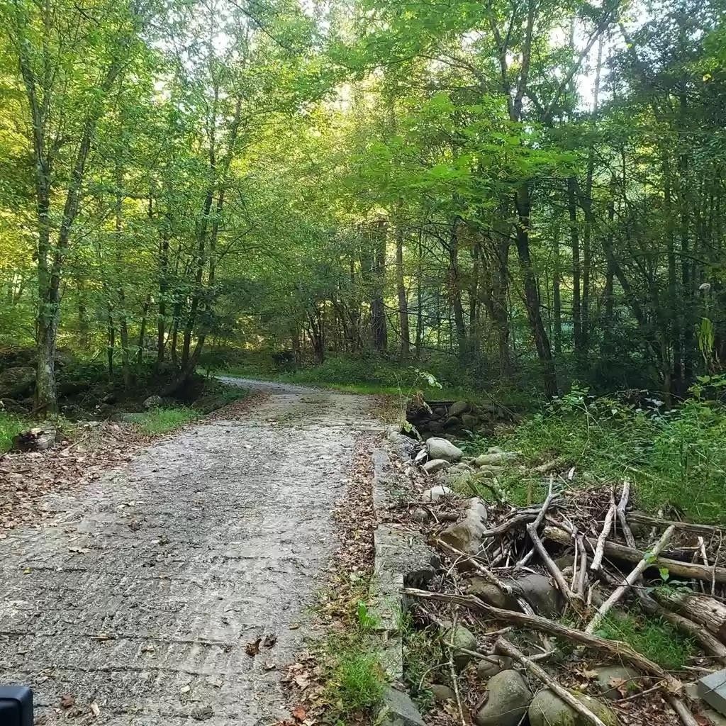 13.09 Acres, 5256 Mathis Branch, Cosby, TN 37722 Land and Farm