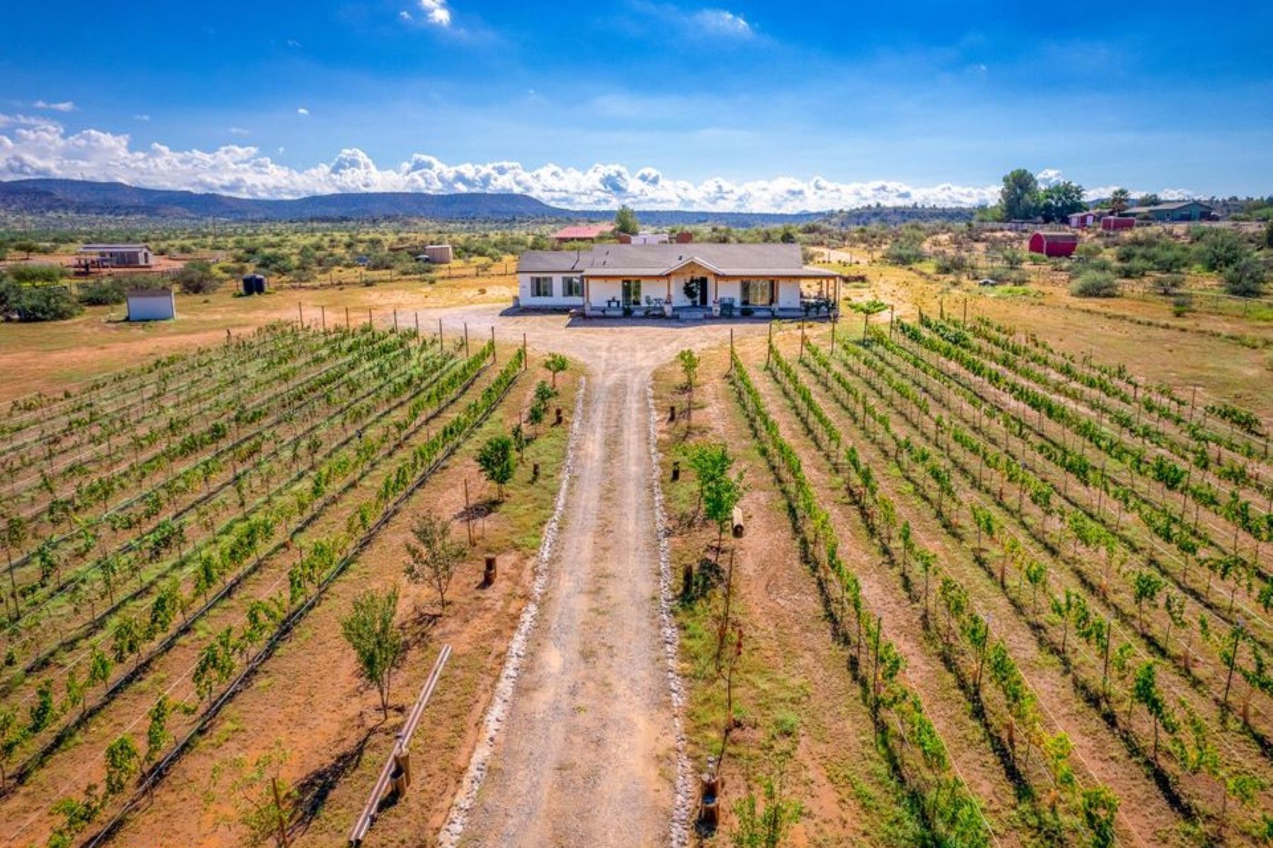 3.5 Acres, 1445 S Koch Ranch Road, Cornville, AZ 86325 Land and Farm