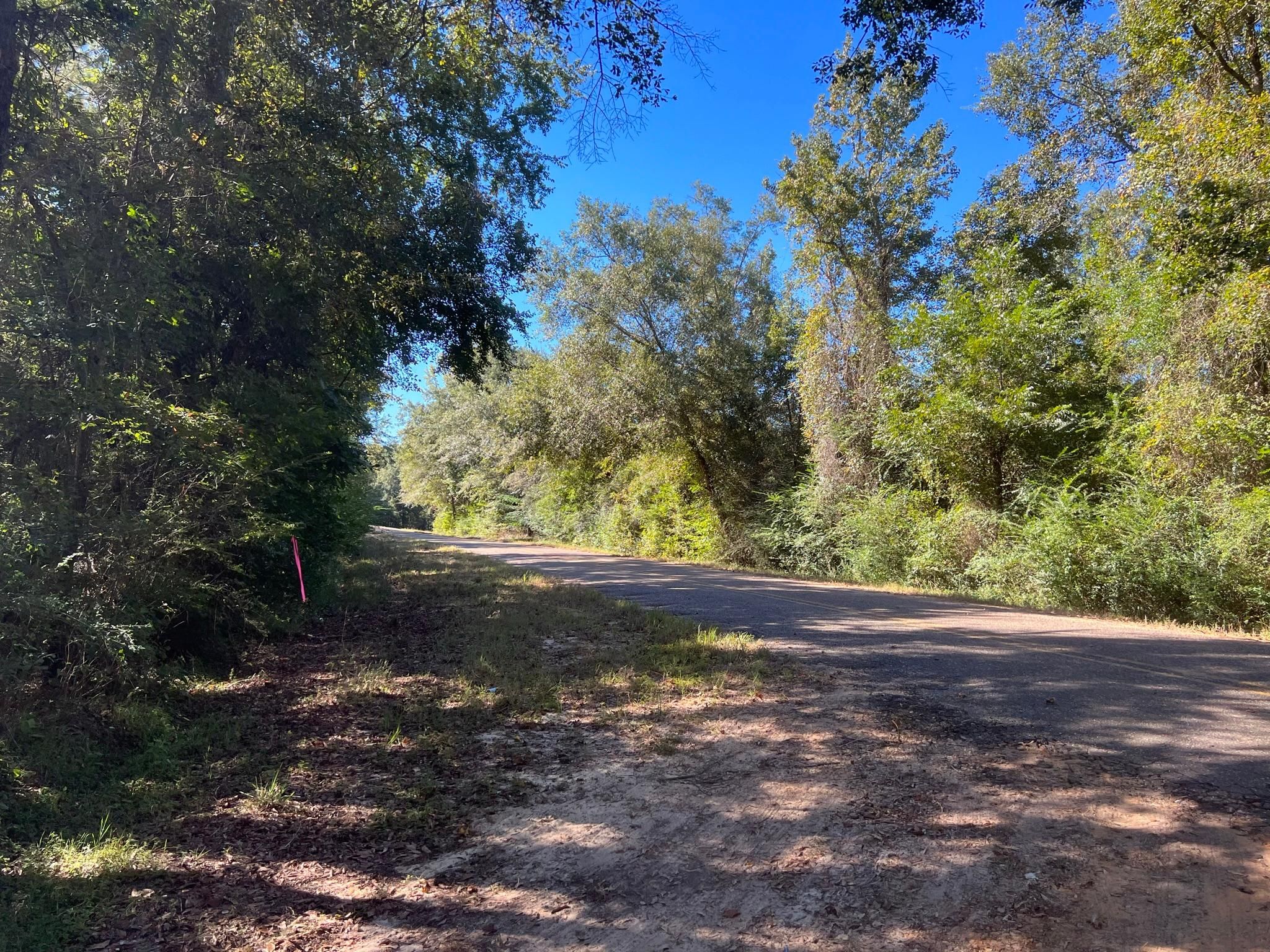 54 Acres, Gardner Road, Goshen, AL 36035 Land and Farm