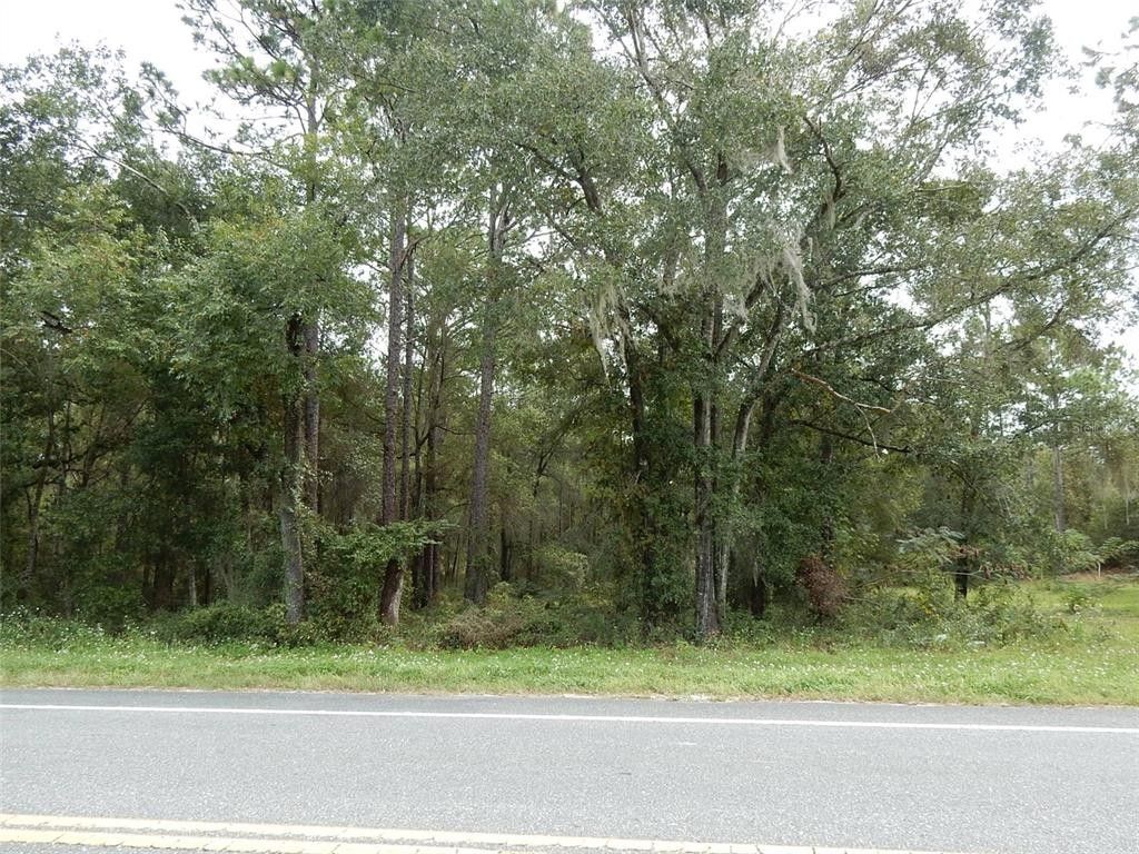 0.23 Acres, 591 NE STATE ROAD 121, Williston, FL 32696 Land and Farm