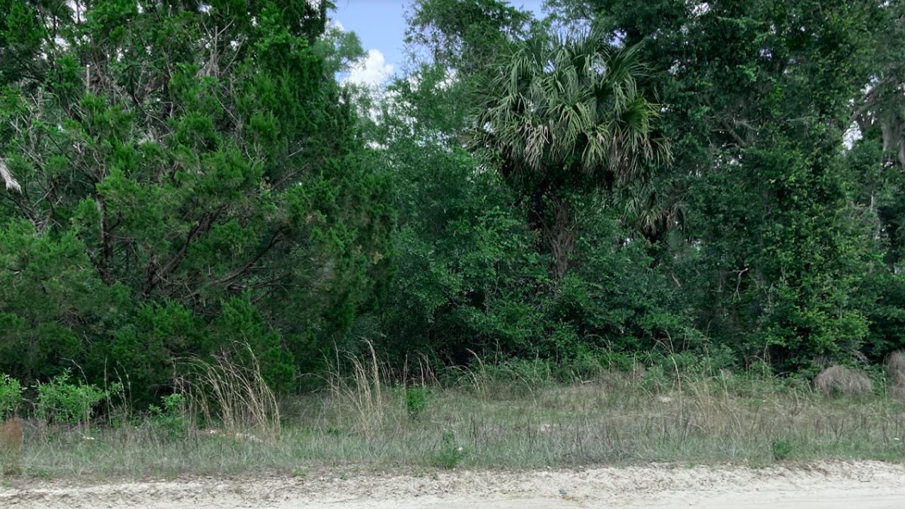 0.26 Acres, ST JOHNS RIVERSIDE EST.HOOT OWL RIDGE3RD, Satsuma, FL 32189