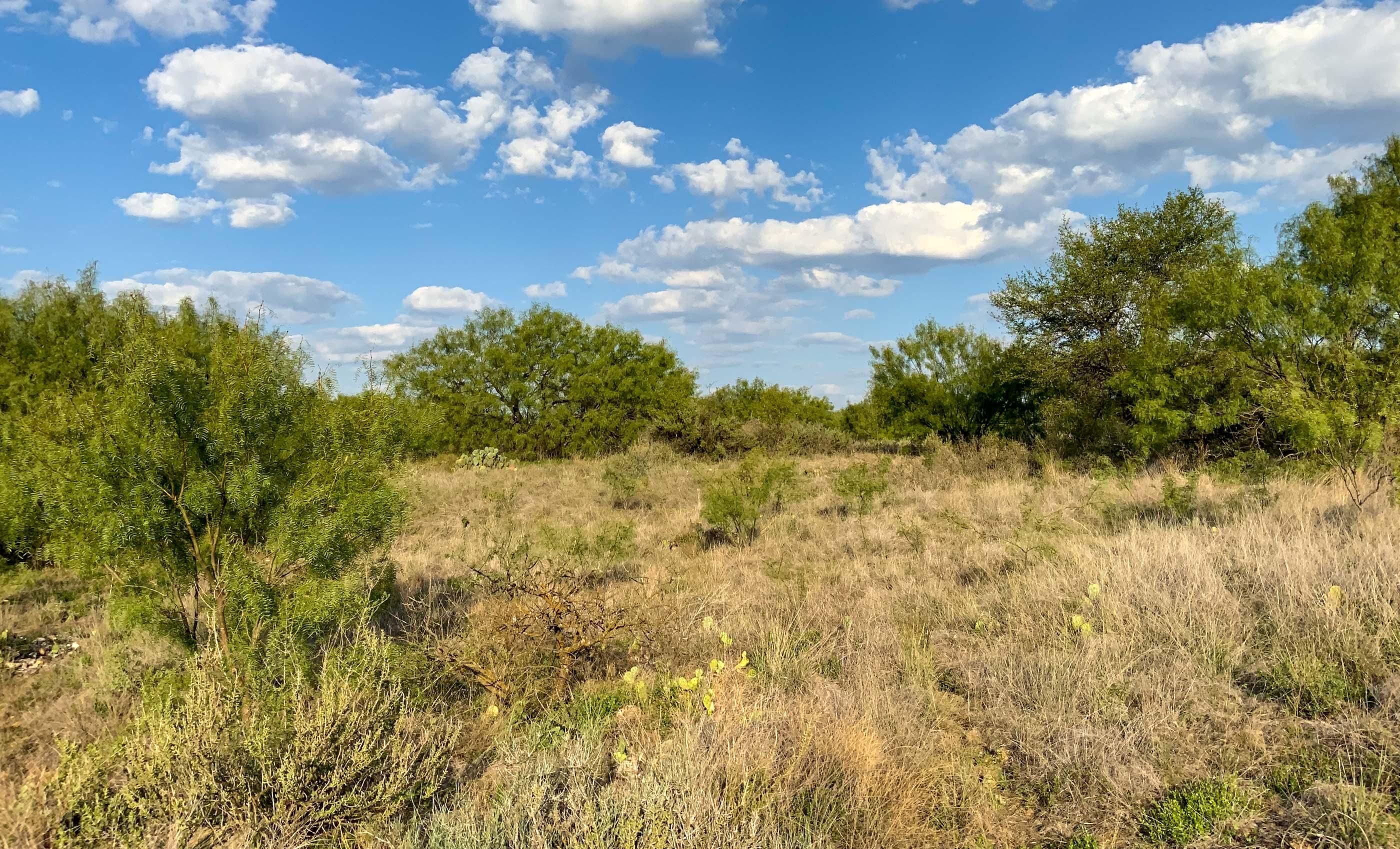 50 Acres, Albany, TX 76464 Land and Farm
