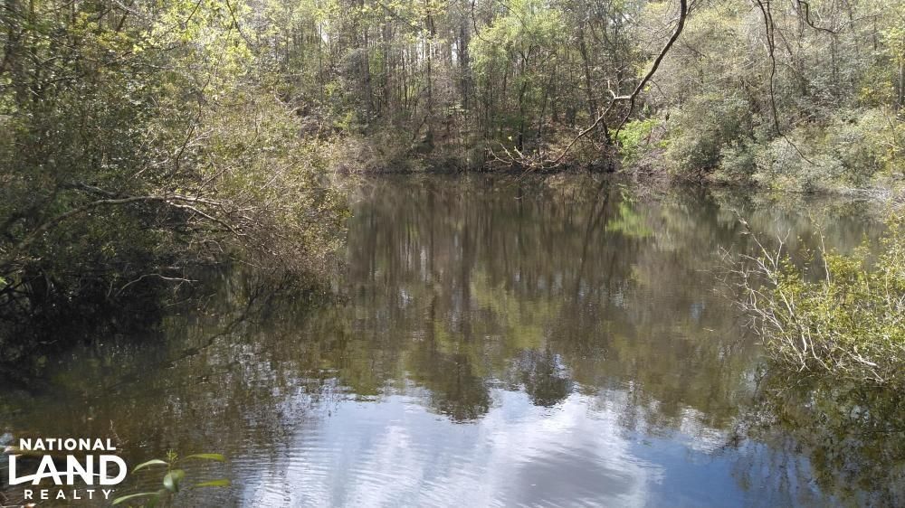 60 Acres, 0 County Road 18, Headland, AL 36345 Land and Farm