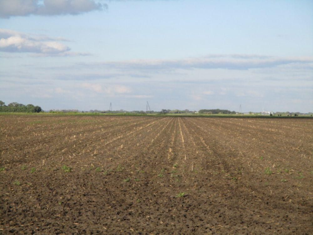 881.21 acres in Herman, MN, Land and Farm