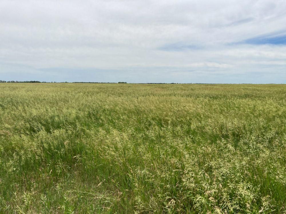 320 Acres, Stickney, SD Land and Farm