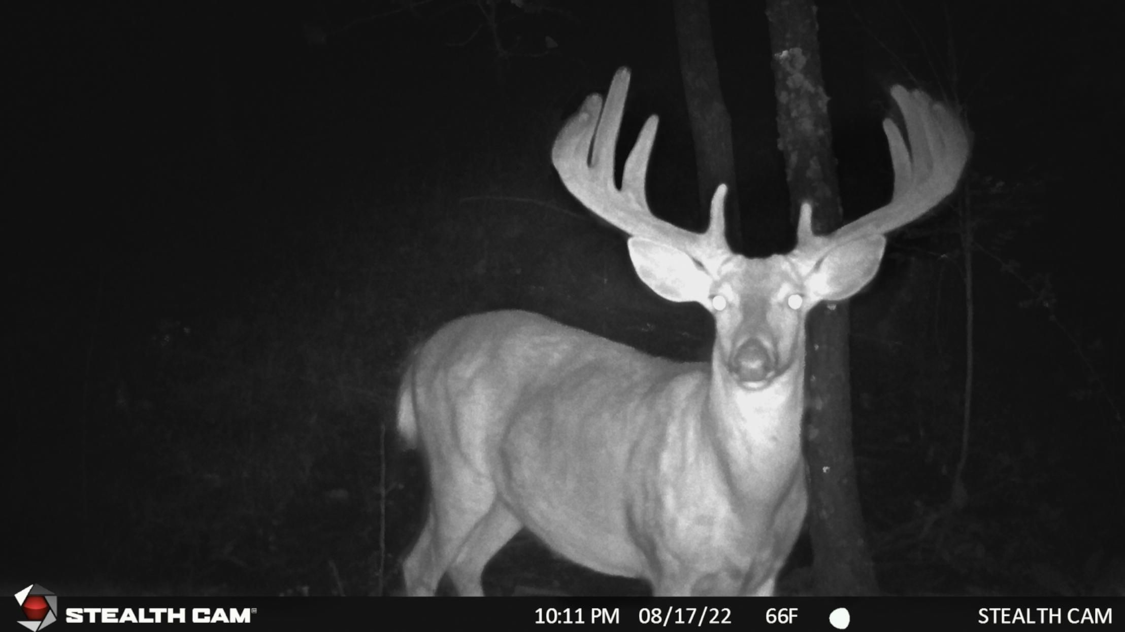 964 6th Ave, Hancock, WI 54943 MLS 1812804 Land and Farm