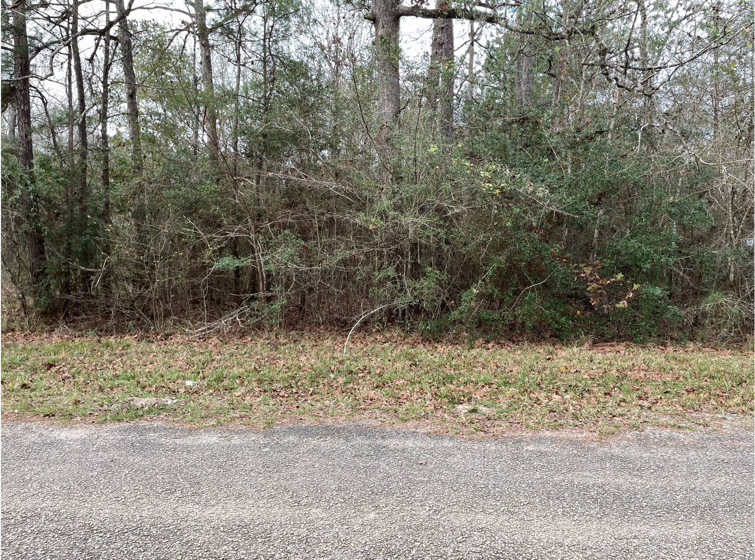 0.28 acres in Cleveland, TX, 77327 Land and Farm