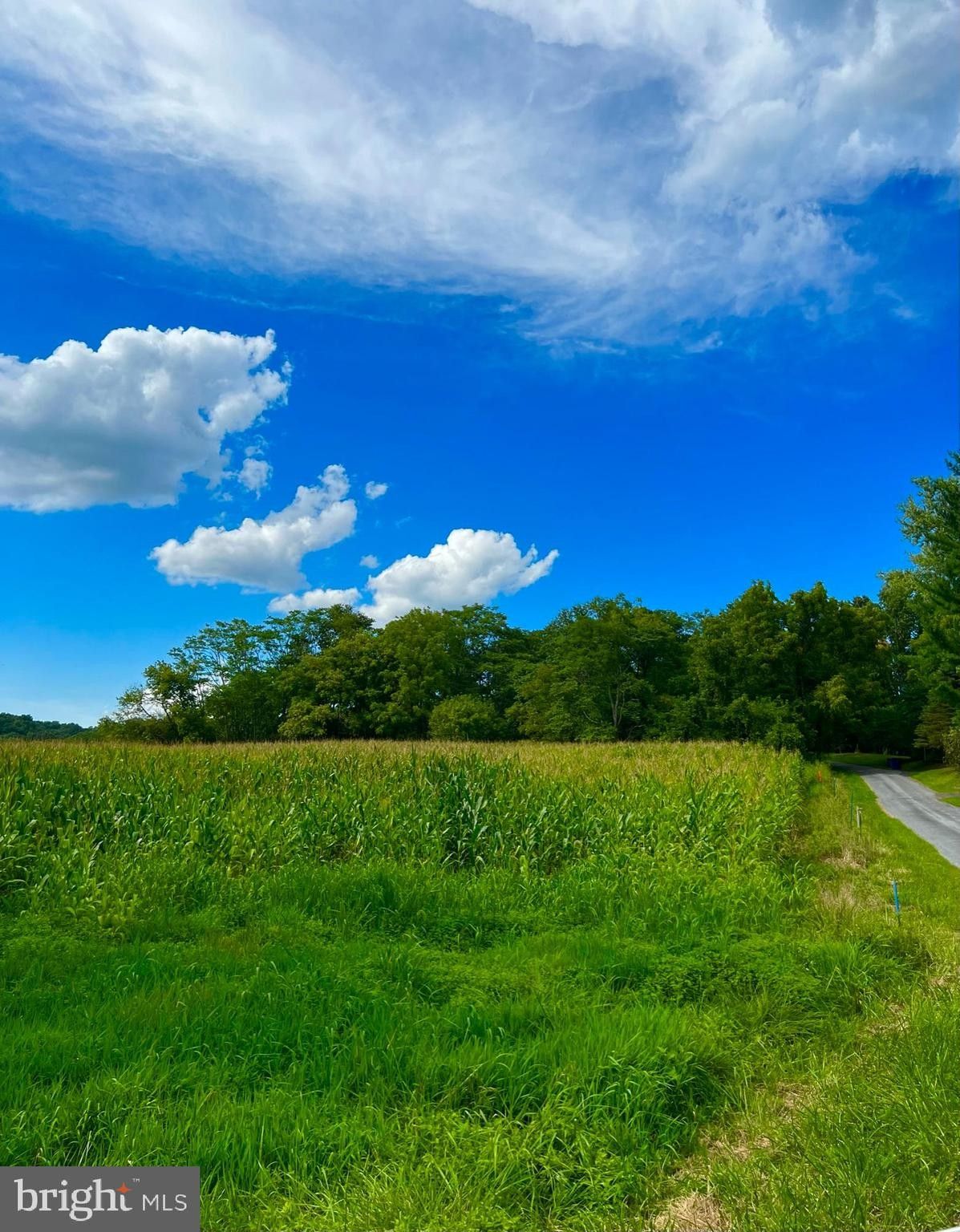 47.07 Acres, 0000 PLANTATION ROAD, Frederick, MD 21701 Land and Farm