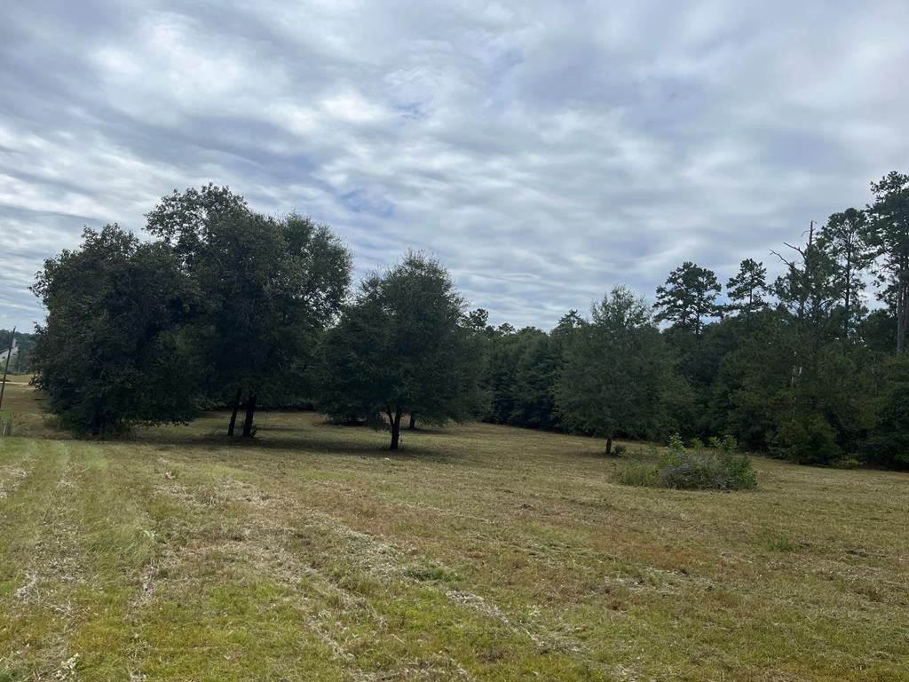 1.73 Acres, TBD East Washington Street, Abbeville, AL 36310 Land and Farm