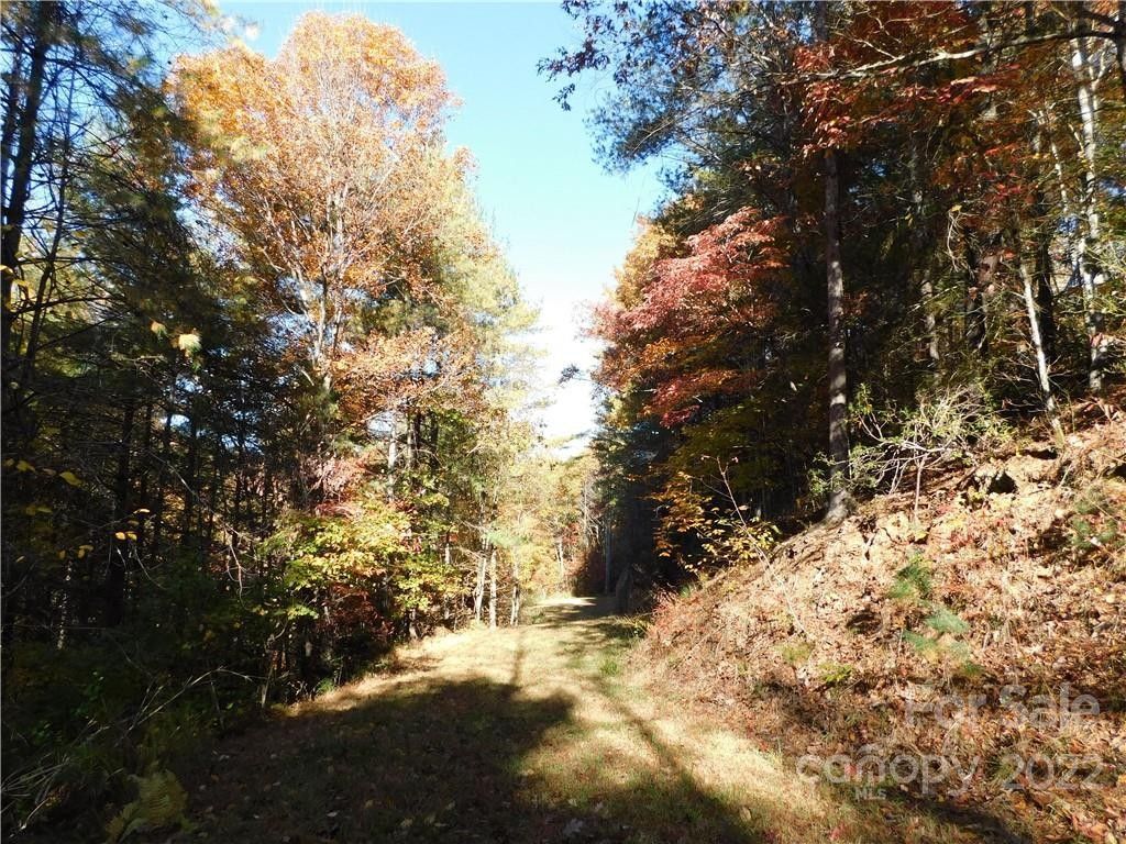 13 Acres, Lot 22 Black Hills Drive, Collettsville, NC 28611 Land and Farm