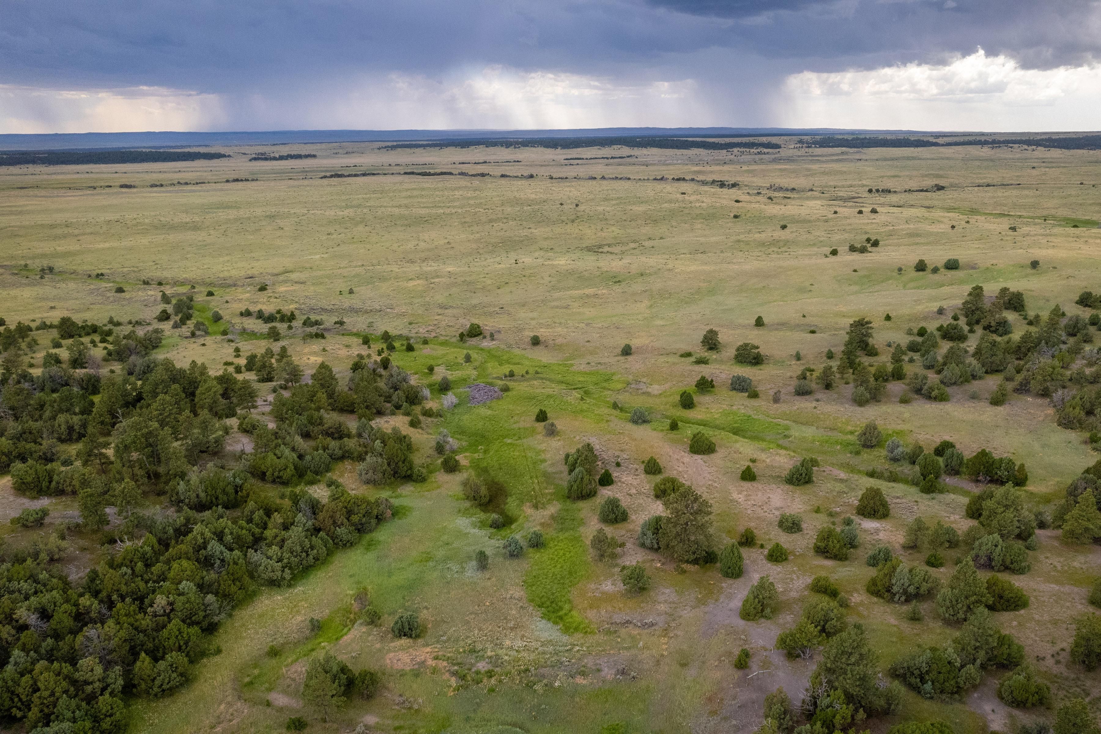 137 acres in Upton, WY, 82701 Land and Farm