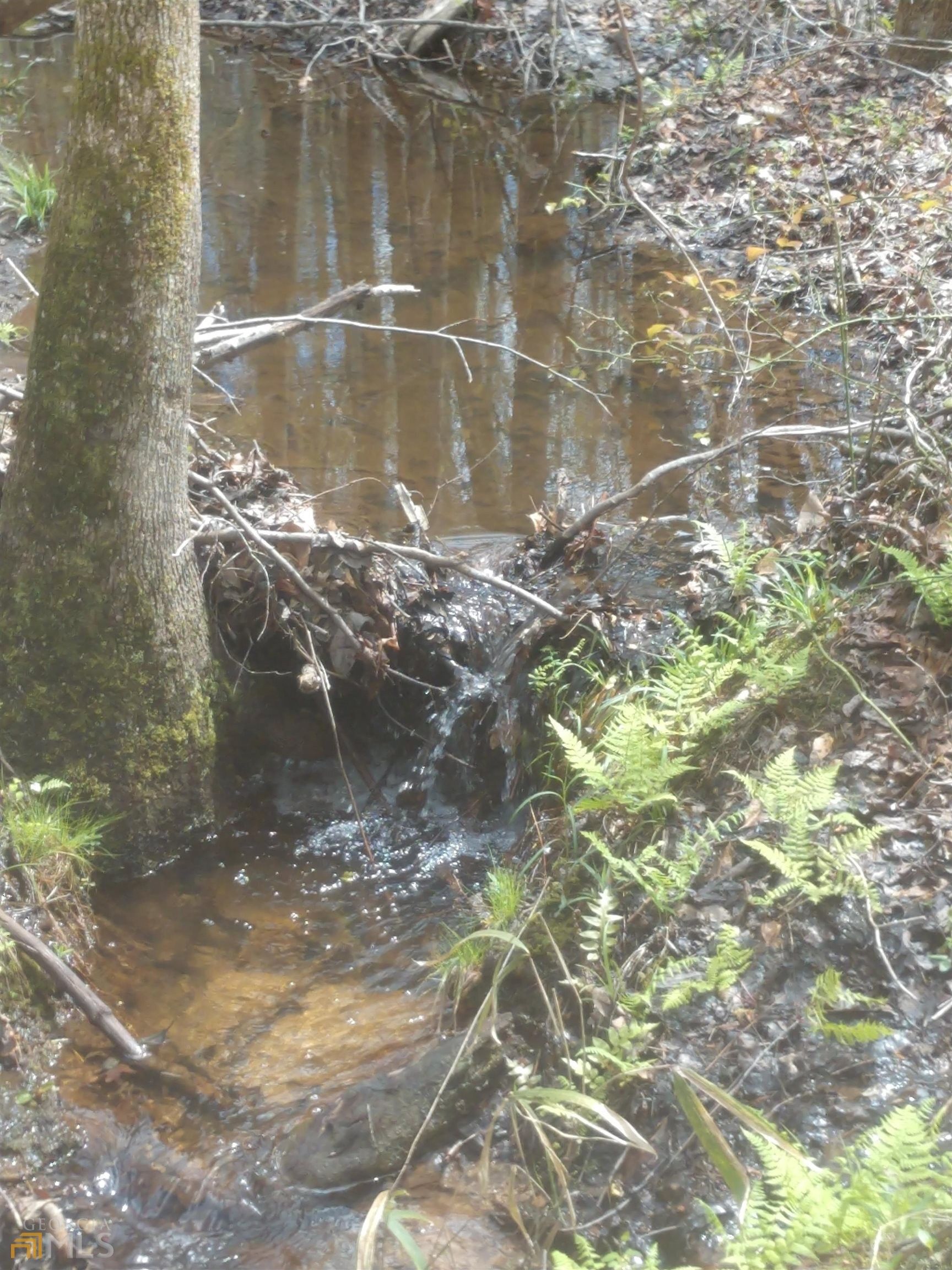 27.51 Acres, 0 High Falls Park Road, Barnesville, GA 30204 Land and Farm