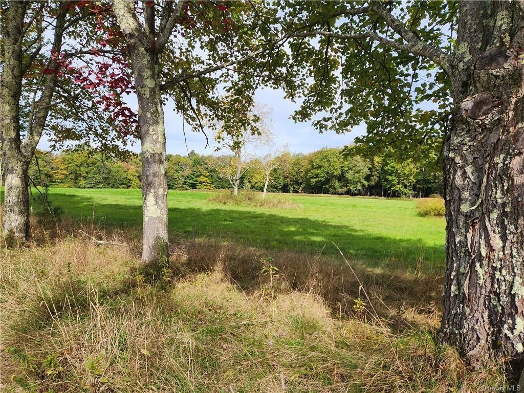 9.67 Acres, Mt Hope Rd, Bethel, NY 12783 Land and Farm