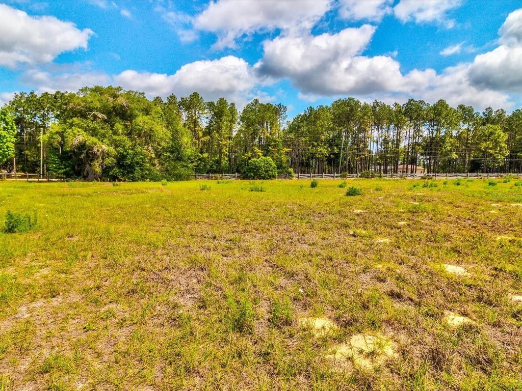 9.2 Acres, POWELL ROAD, Brooksville, FL 34602 Land and Farm