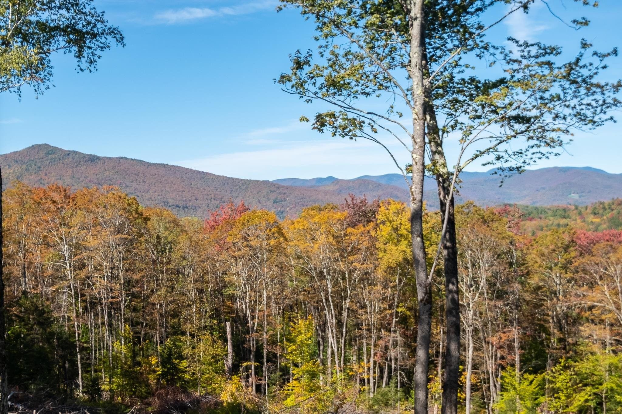 31.33 Acres, 952 Bethel Mtn Road, Rochester, VT 05767 Land and Farm