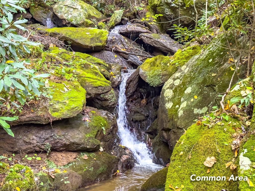 Starry Nights Drive, Fancy Gap, VA 24328 MLS 84419 Land and Farm