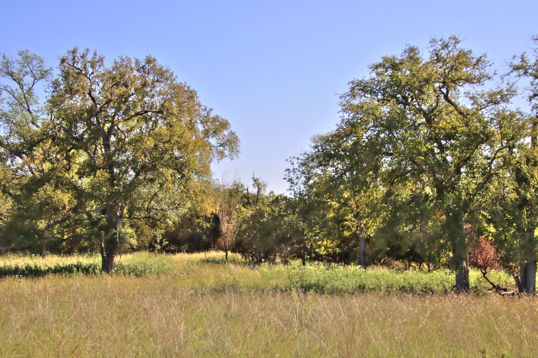 8757 F M 580, Lampasas, TX 76550 Land and Farm
