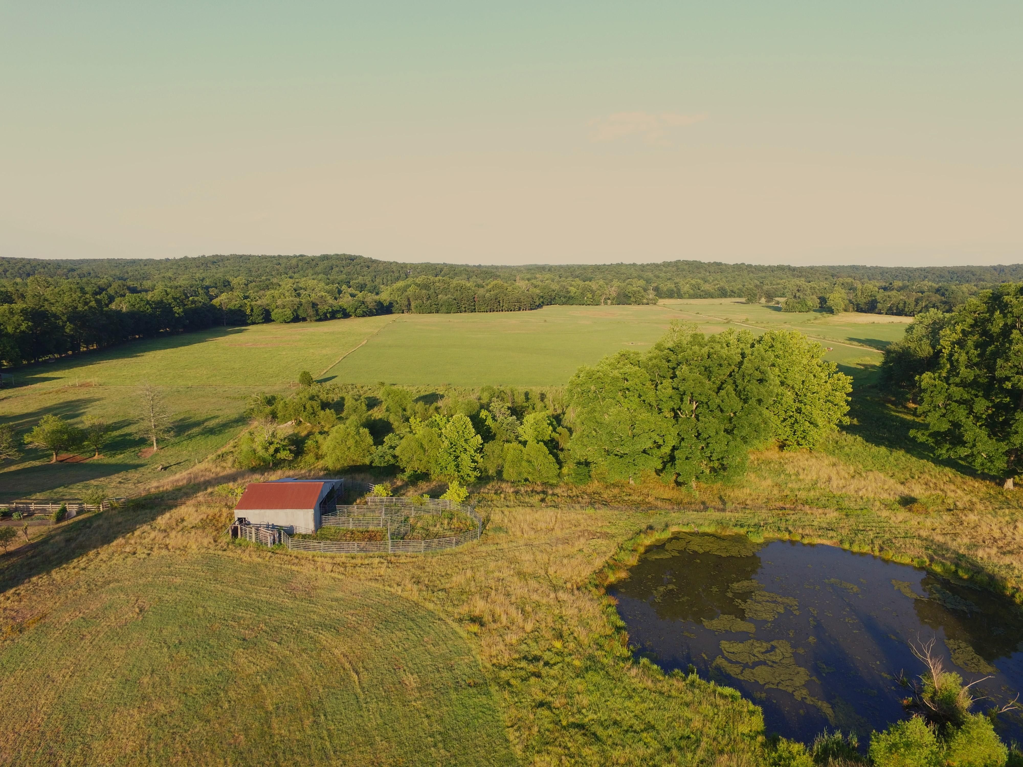 79 Acres, County Road 423, Poplar Bluff, MO 63901 Land and Farm