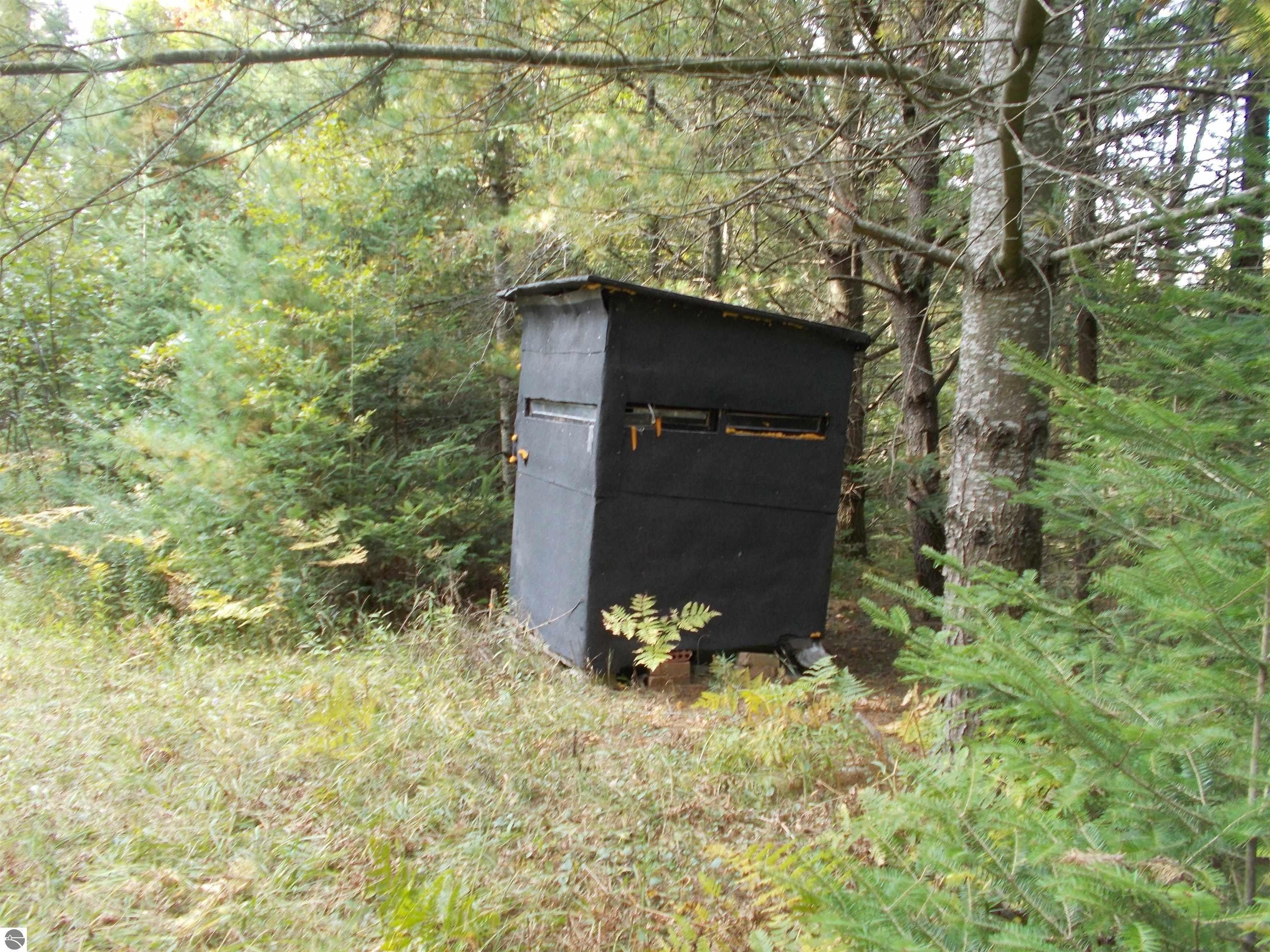 40 Acres, 6004 M55, Whittemore, MI 48770 Land and Farm