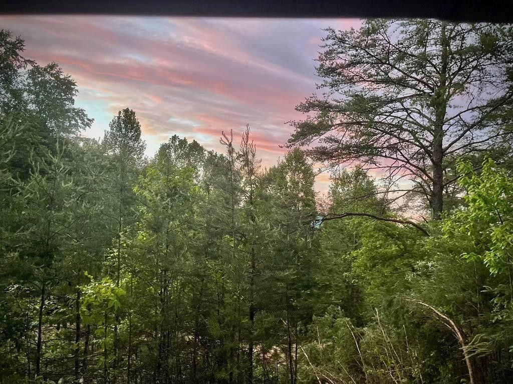 7.5 Acres, 332 Mink Lane, Louisa, KY 41230 Land and Farm