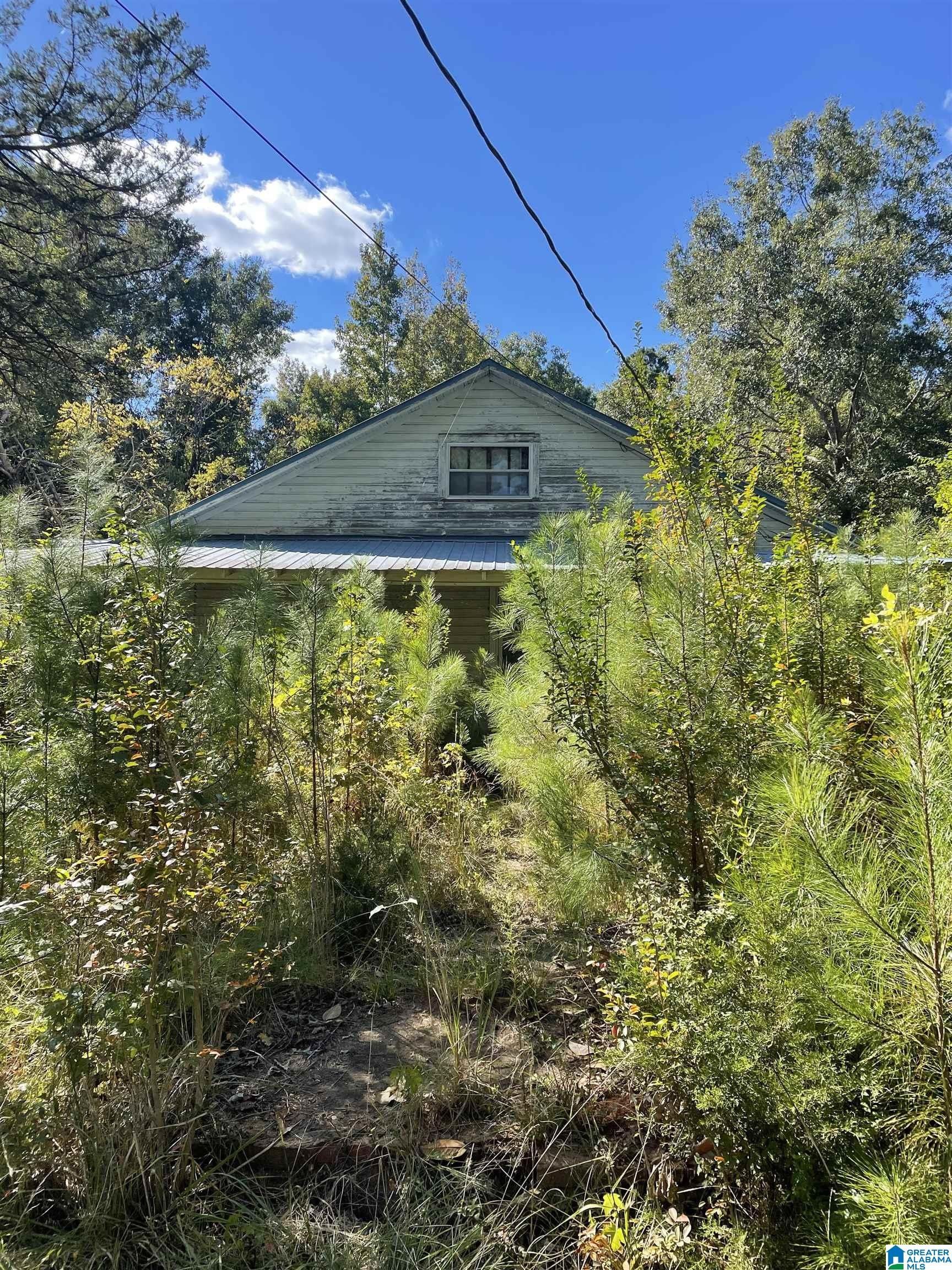 32 Acres, 0 SMITHERMAN DRIVE, Randolph, AL 36792 Land and Farm