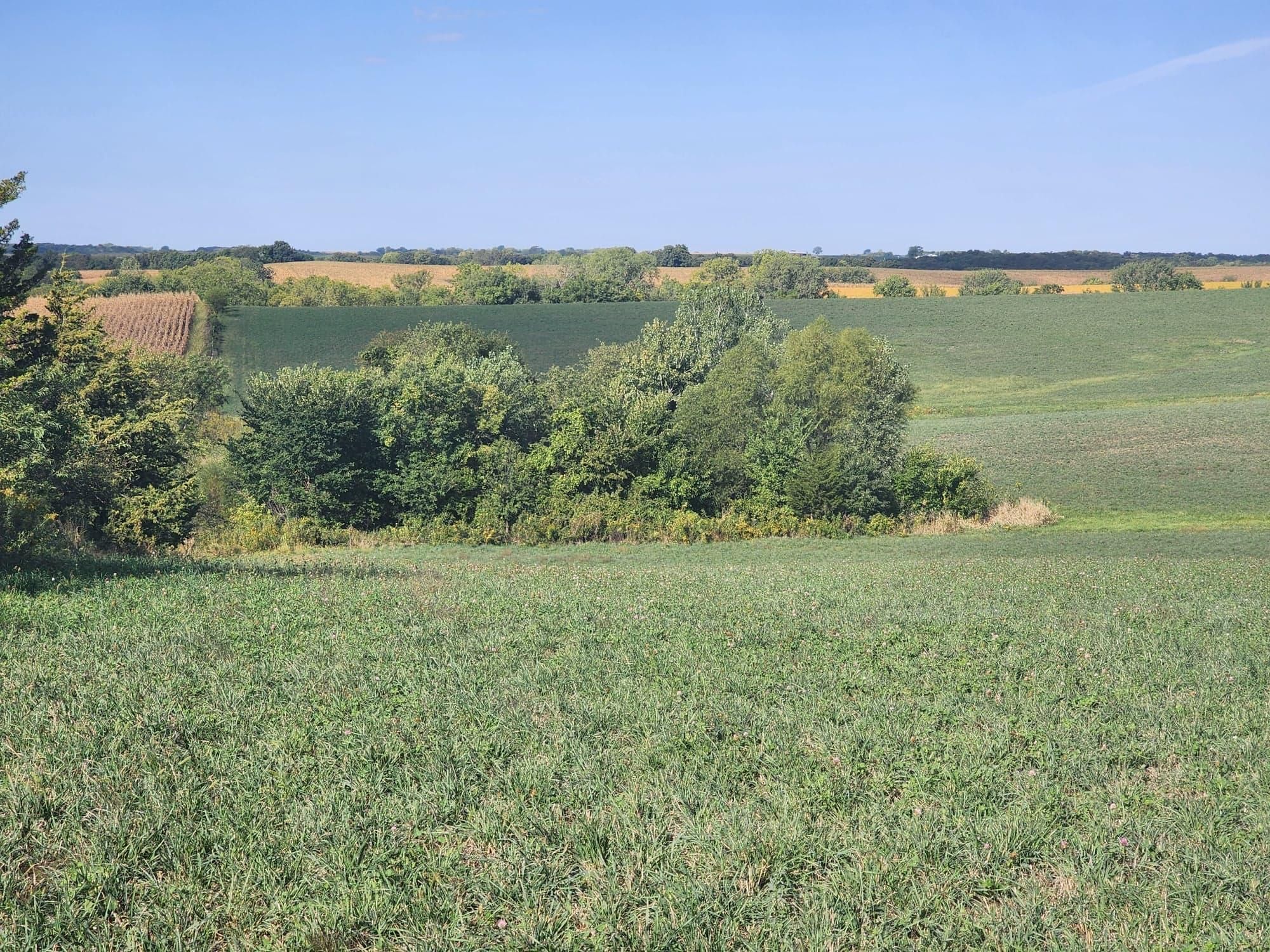 80 Acres, 110th Avenue, Grand River, IA 50108 Land and Farm