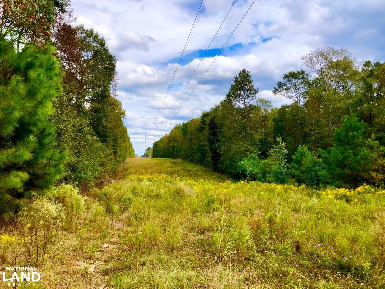001 Elks Lake Road, Hattiesburg, MS 39401 Land and Farm