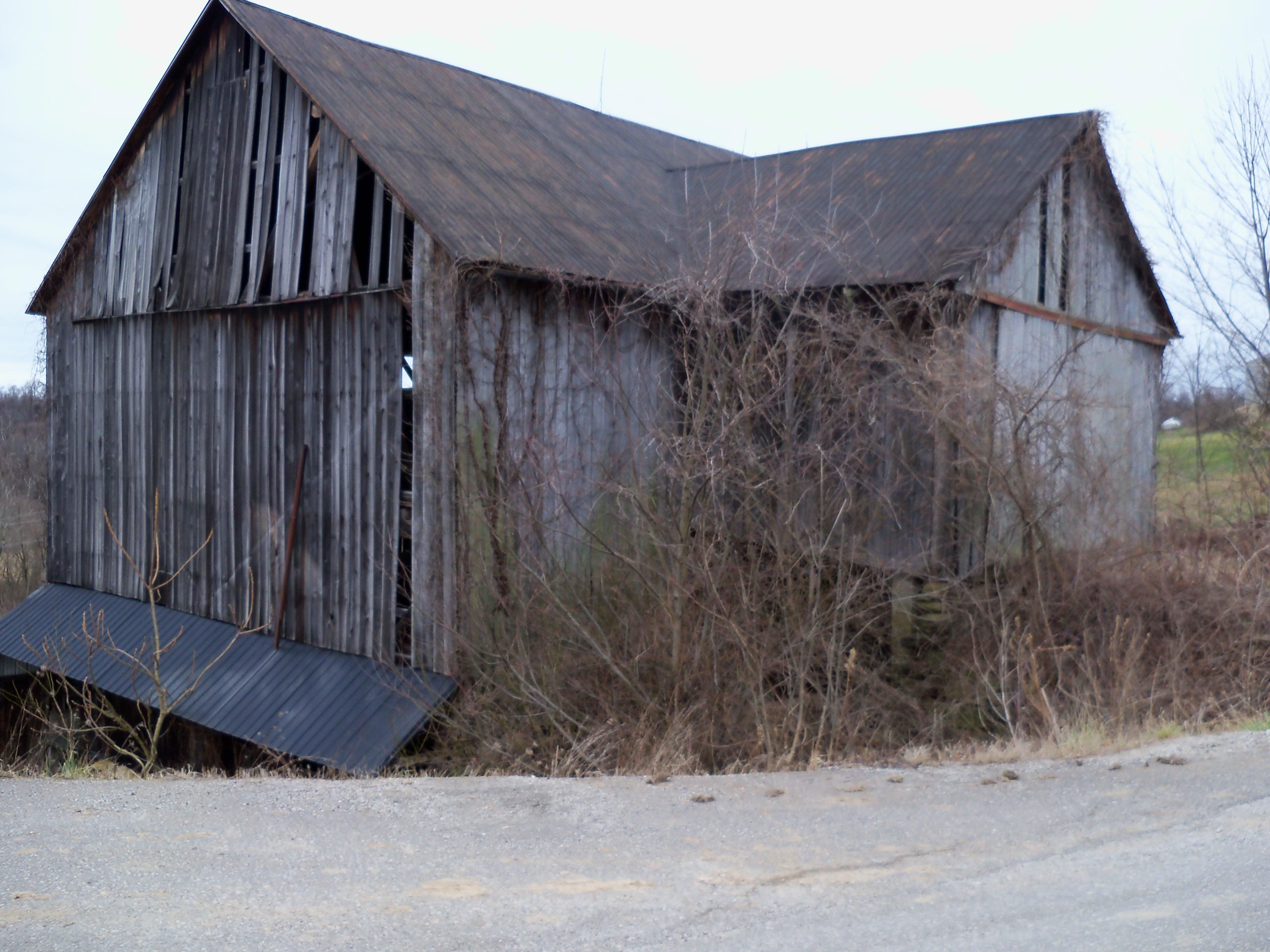 50.34 Acres, Clarington, OH 43915 Land and Farm