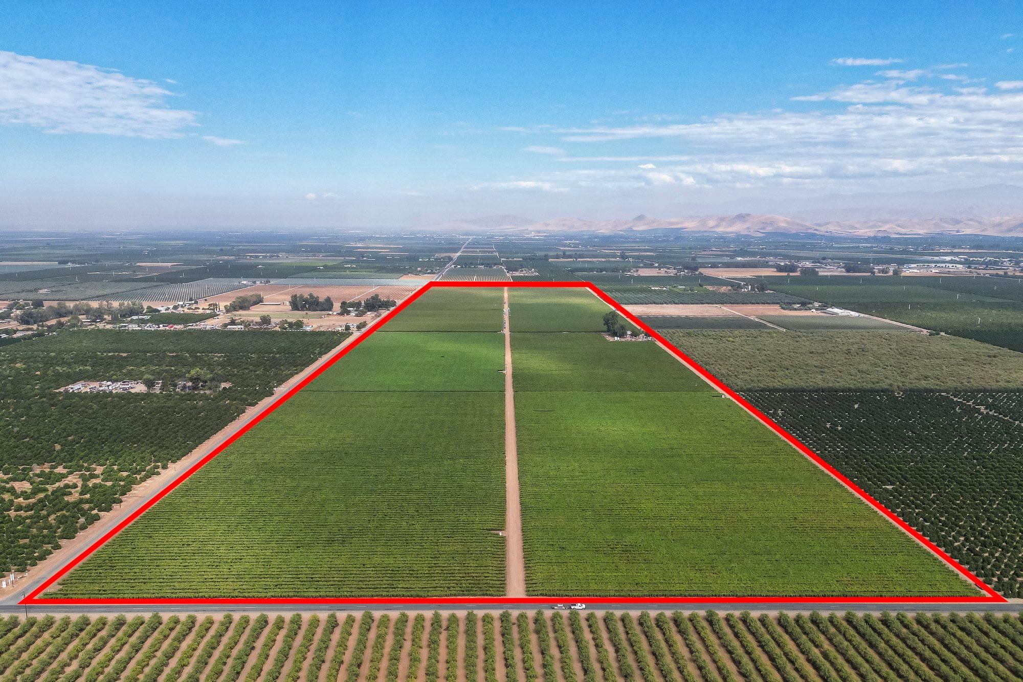 157.1 Acres, 21785 Avenue 188, Strathmore, CA 93267 Land and Farm