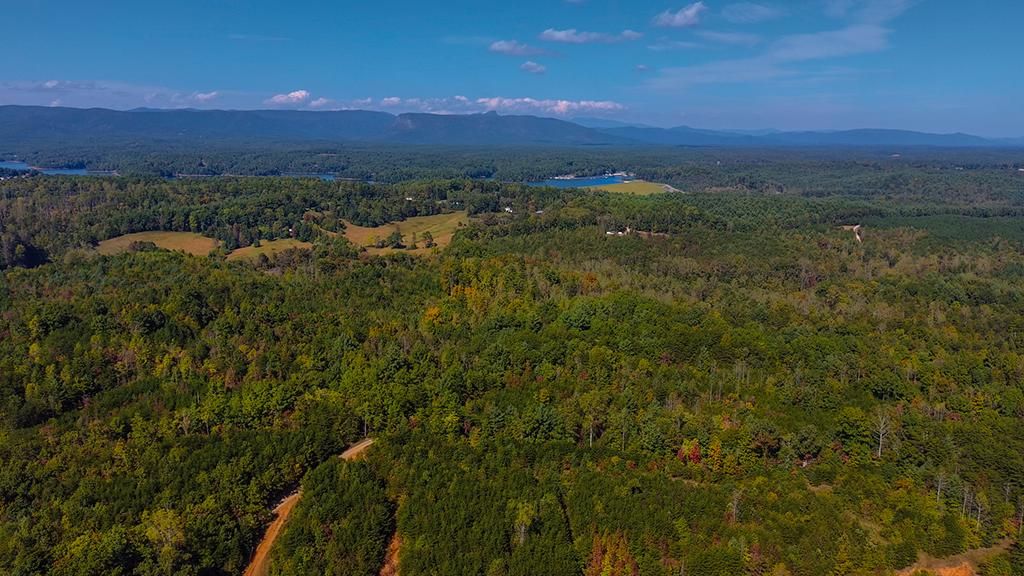 102.67 Acres, U.S. 70, Nebo, NC 28761 Land and Farm