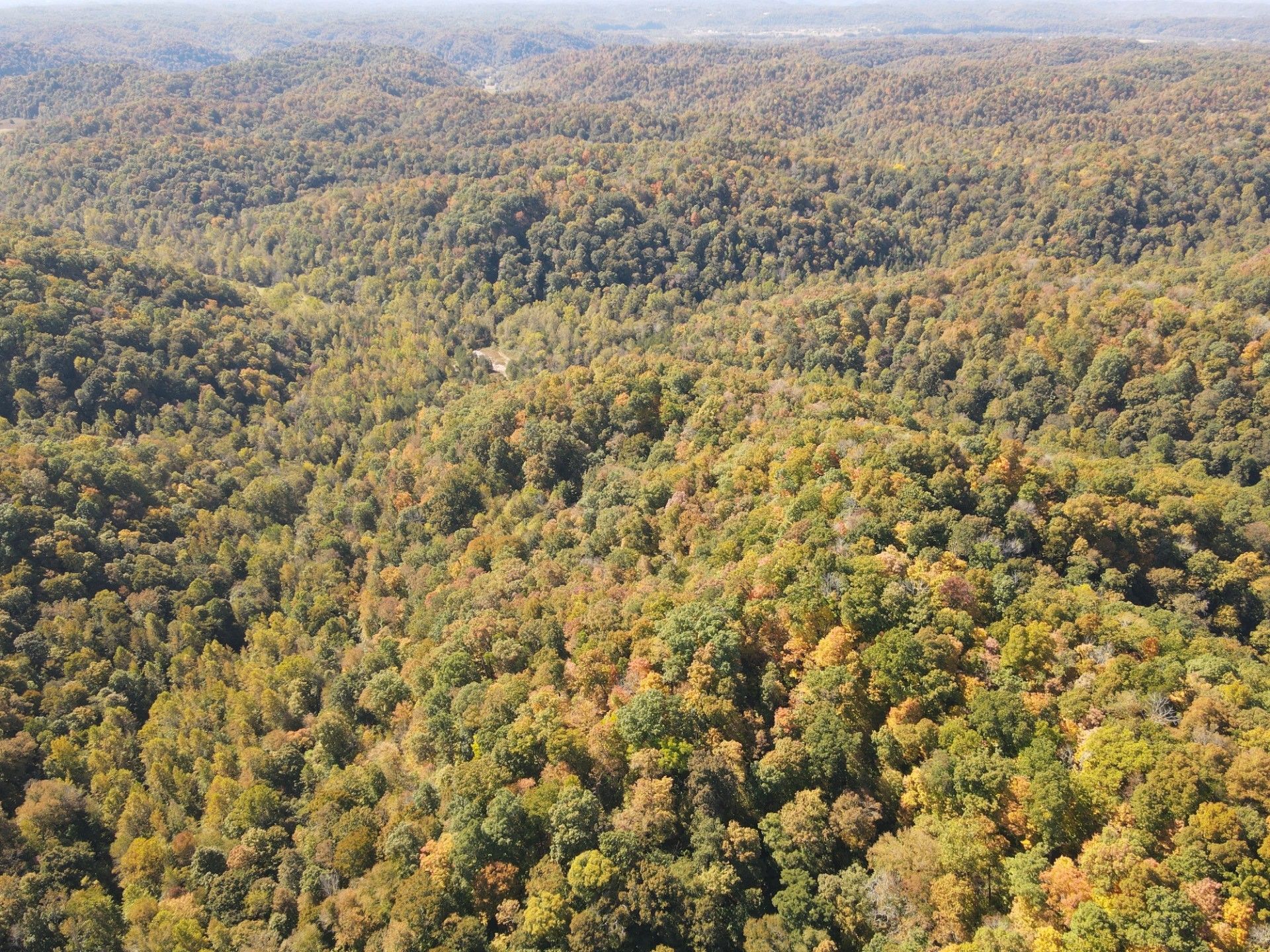 511 Acres, 000 Albany Rd, Burkesville, KY 42717 Land and Farm