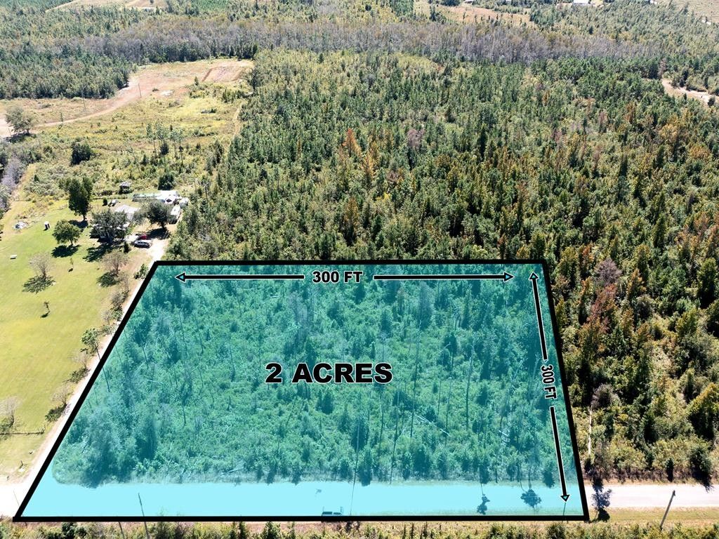 2 Acres, 11531 FRINK BAPTIST CHURCH RD, Clarksville, FL 32430 Land