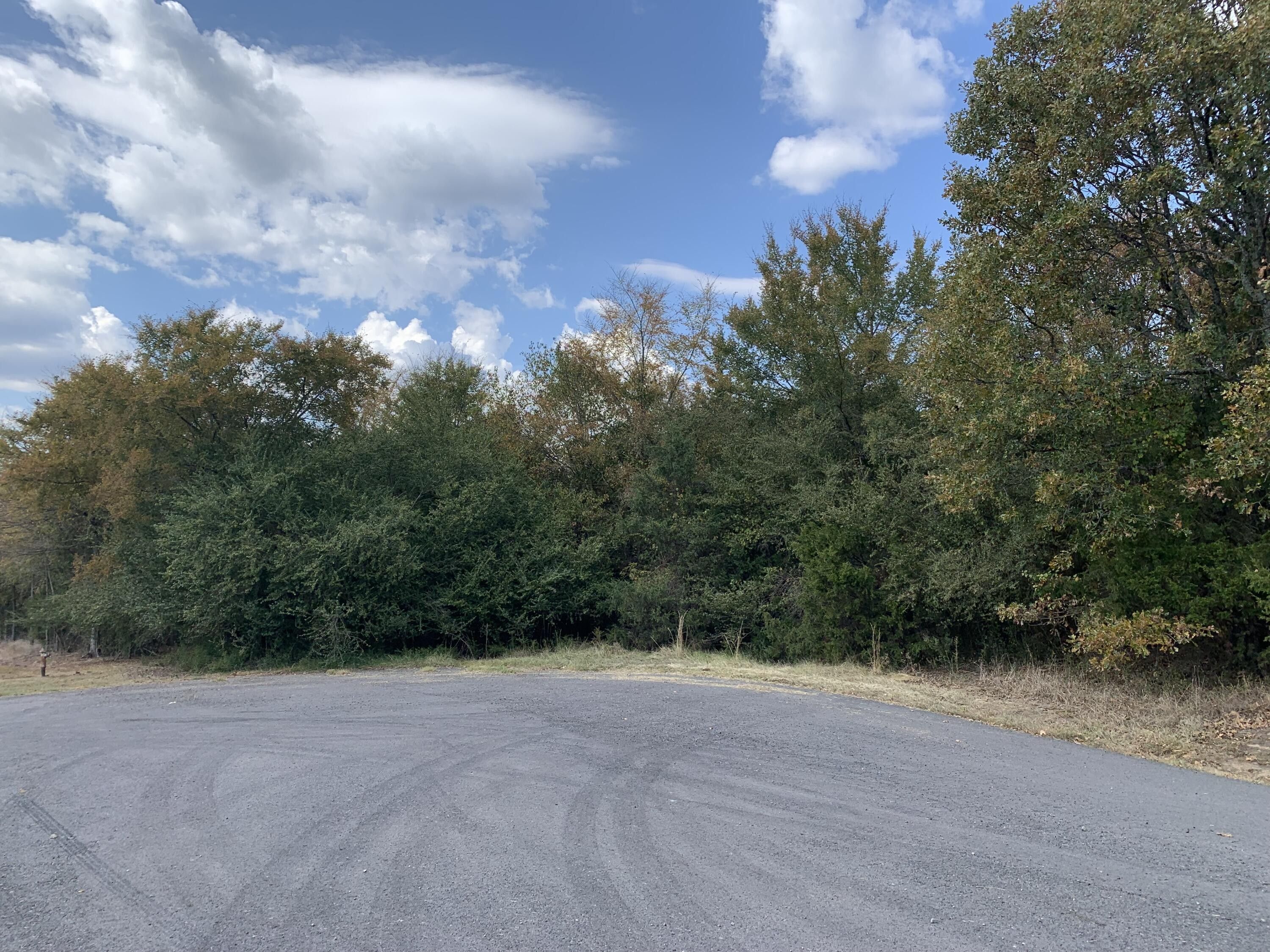 3.43 Acres, Lot 53,54 Ridgeback Cove, Dover, AR 72837 Land and Farm